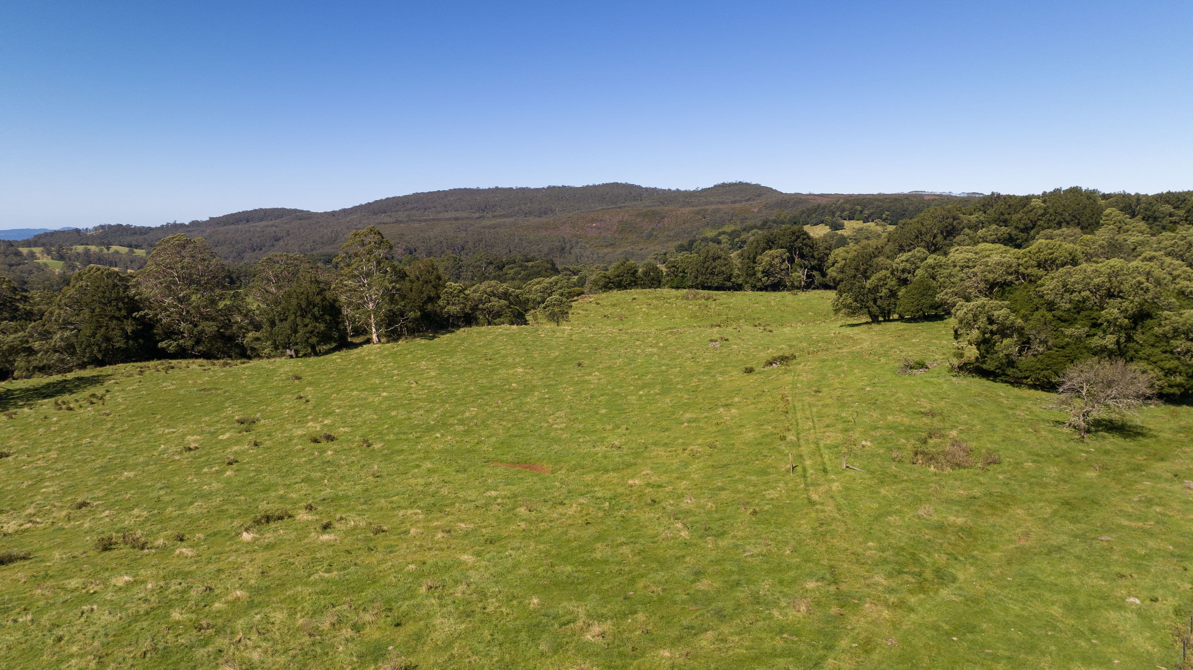 1 Redlands Road, Hernani NSW 2453, Hernani - Thumbnail 4