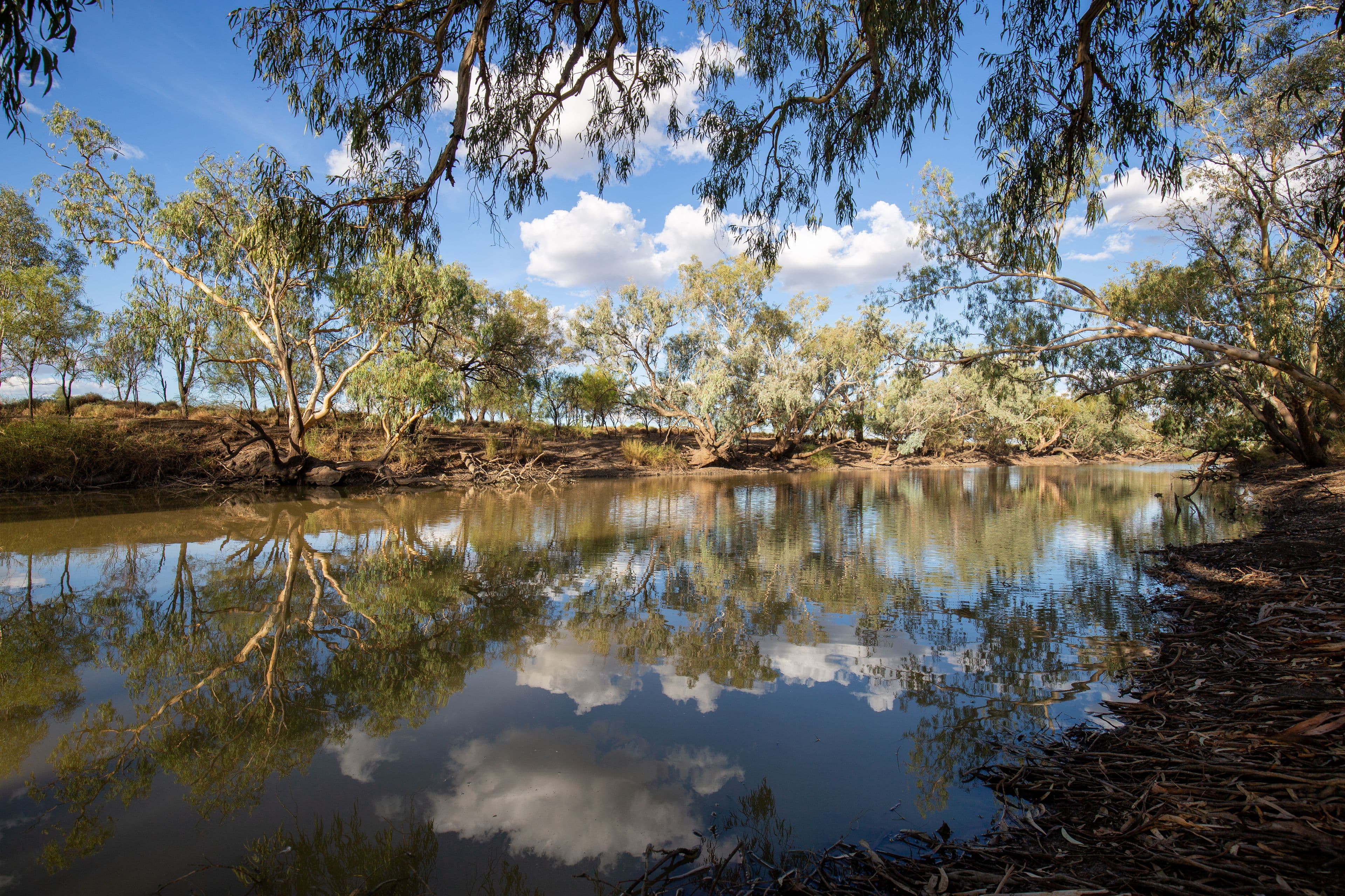 "Welbon" 496 Dolgelly Road, Garah NSW 2405, Garah - Thumbnail 3