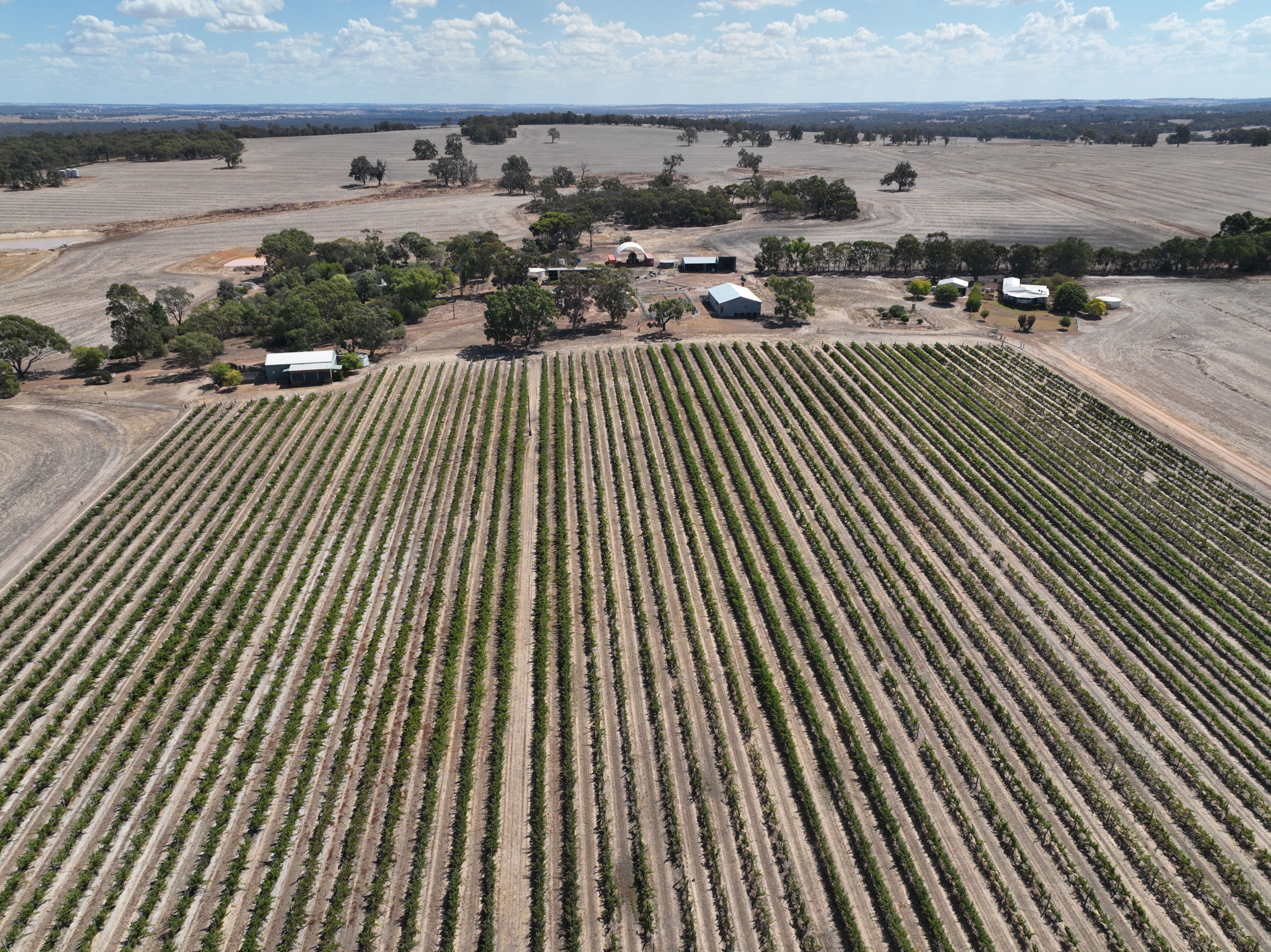 506 Weir Road, Cranbrook WA 6321, Cranbrook - Thumbnail 3