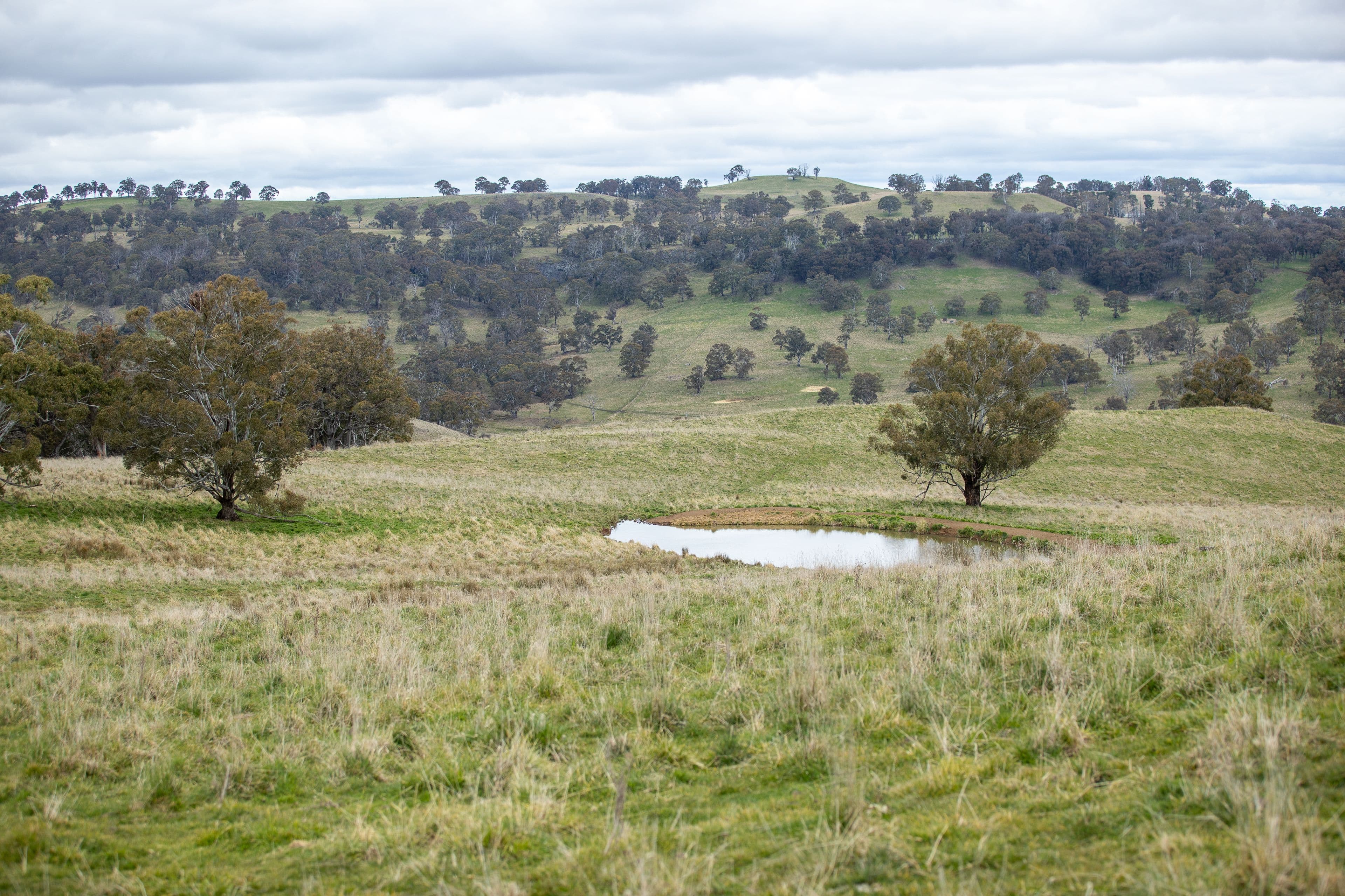 504 Moredun Road, Ben Lomond NSW 2365, Ben Lomond - Thumbnail 3