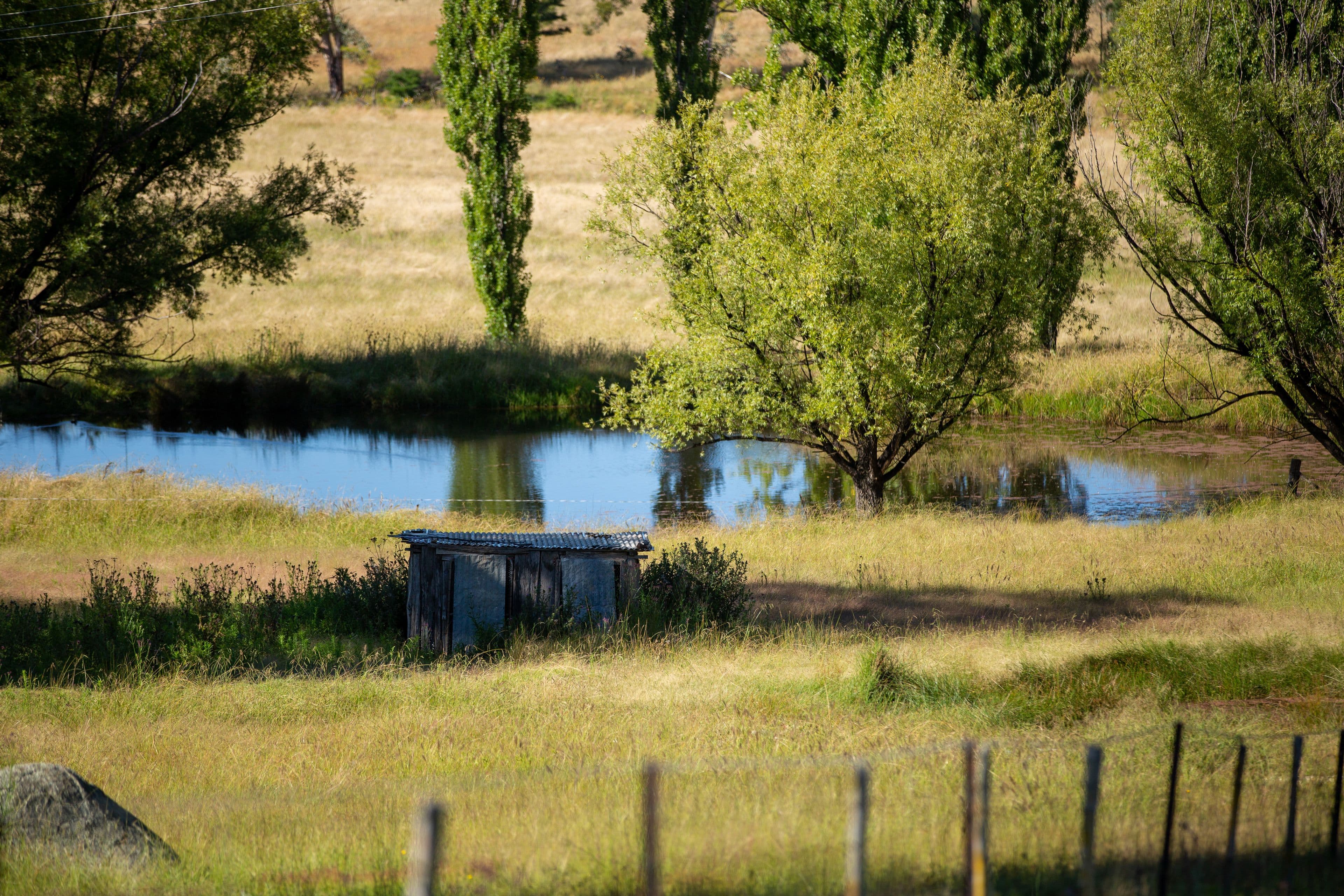 1242 Puddledock Road, Armidale NSW 2350, Armidale - Thumbnail 4