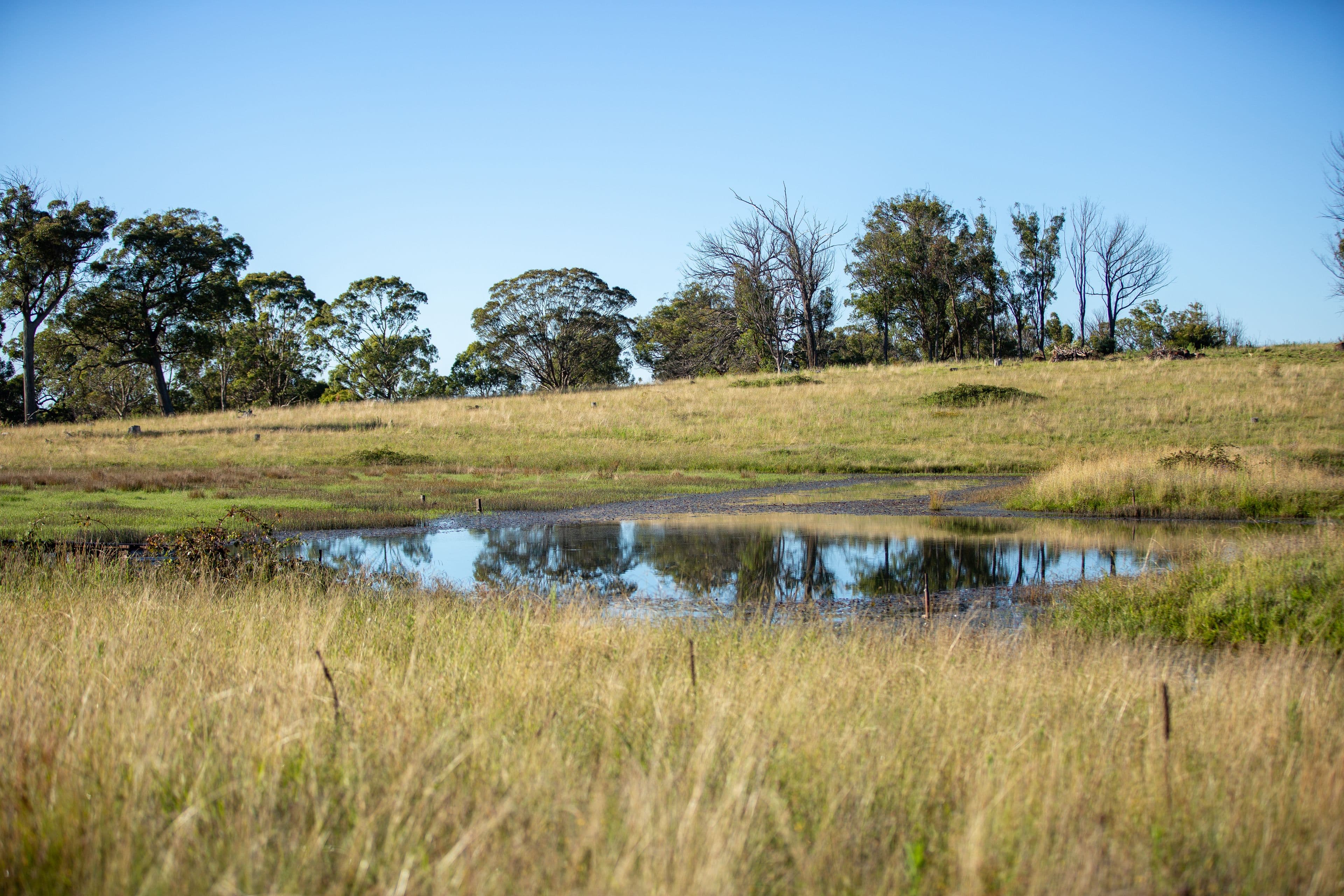 1242 Puddledock Road, Armidale NSW 2350, Armidale - Thumbnail 7