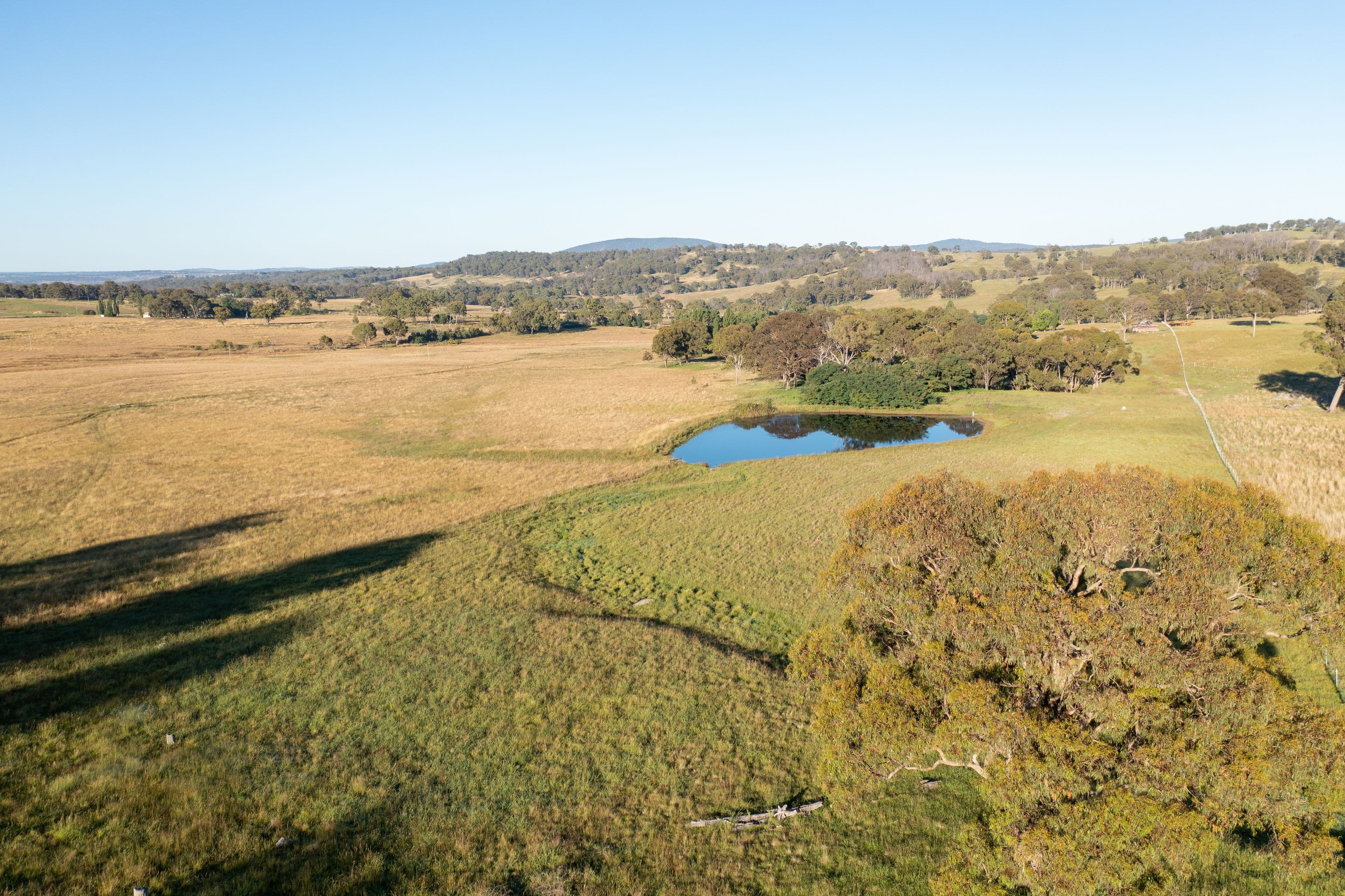 1242 Puddledock Road, Armidale NSW 2350, Armidale - Thumbnail 8