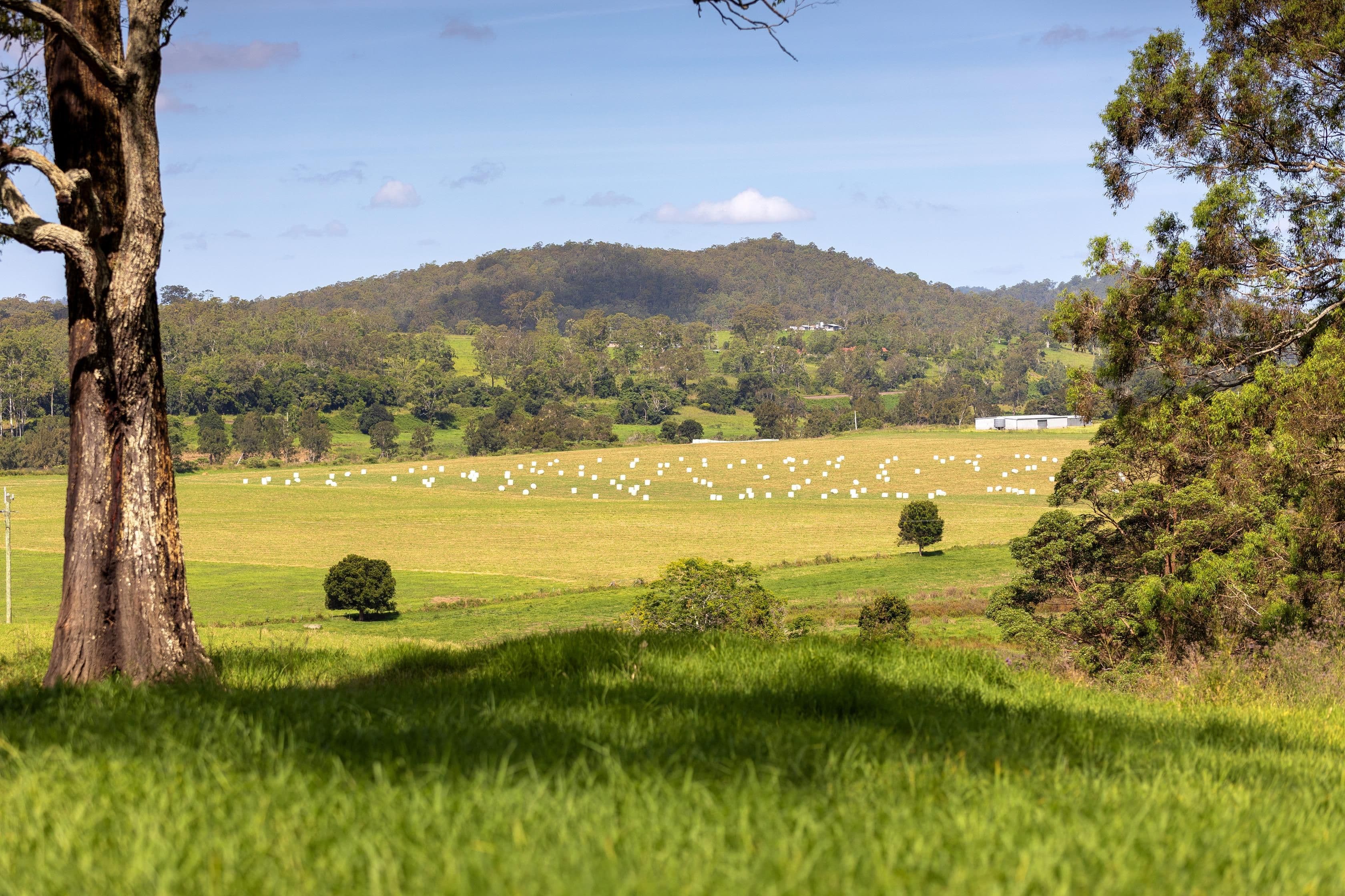 1 / 4 Leonard Street, Magill SA 5072, Magill - Thumbnail 4