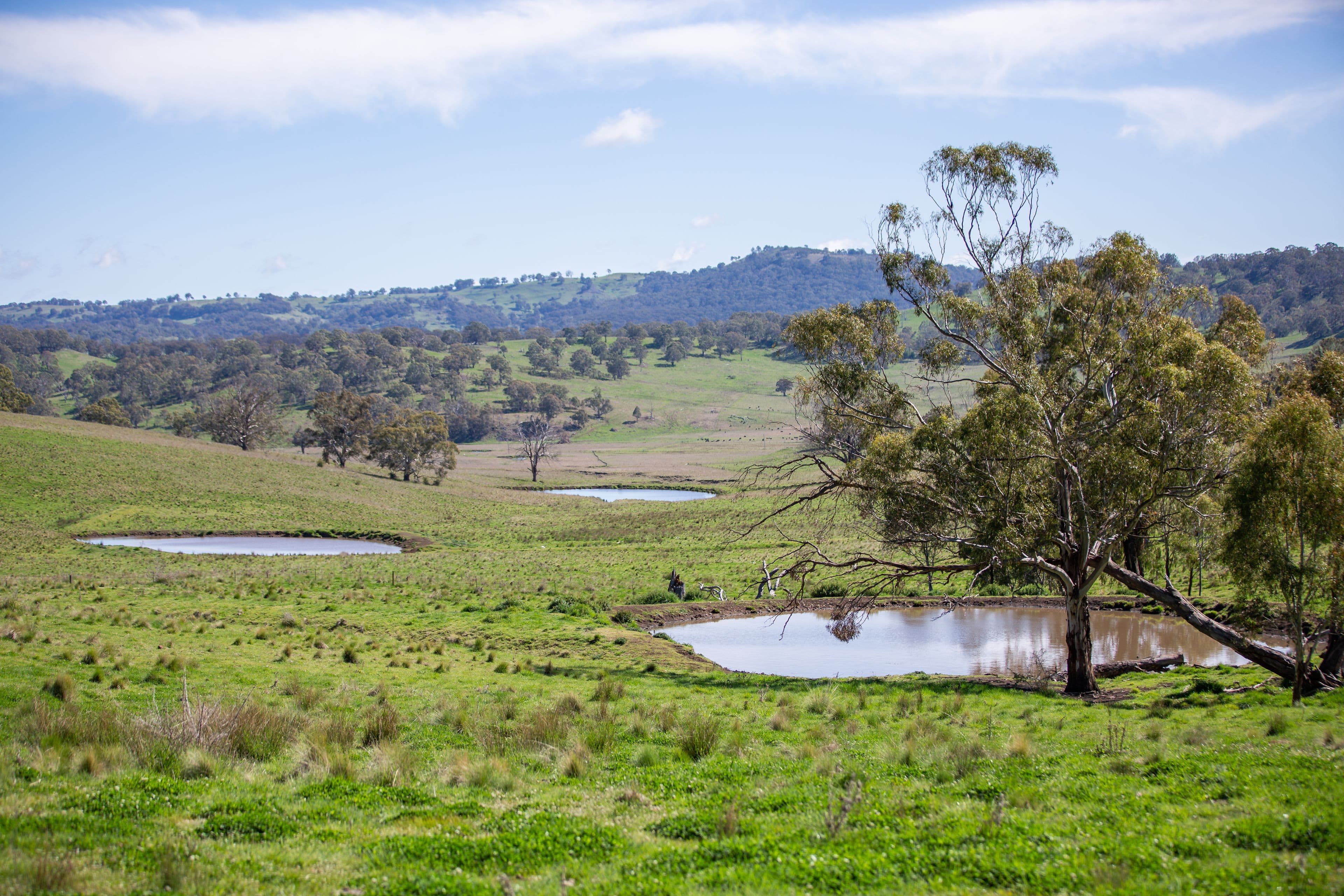 453 Moredun Road, Ben Lomond NSW 2365, Ben Lomond - Image 1