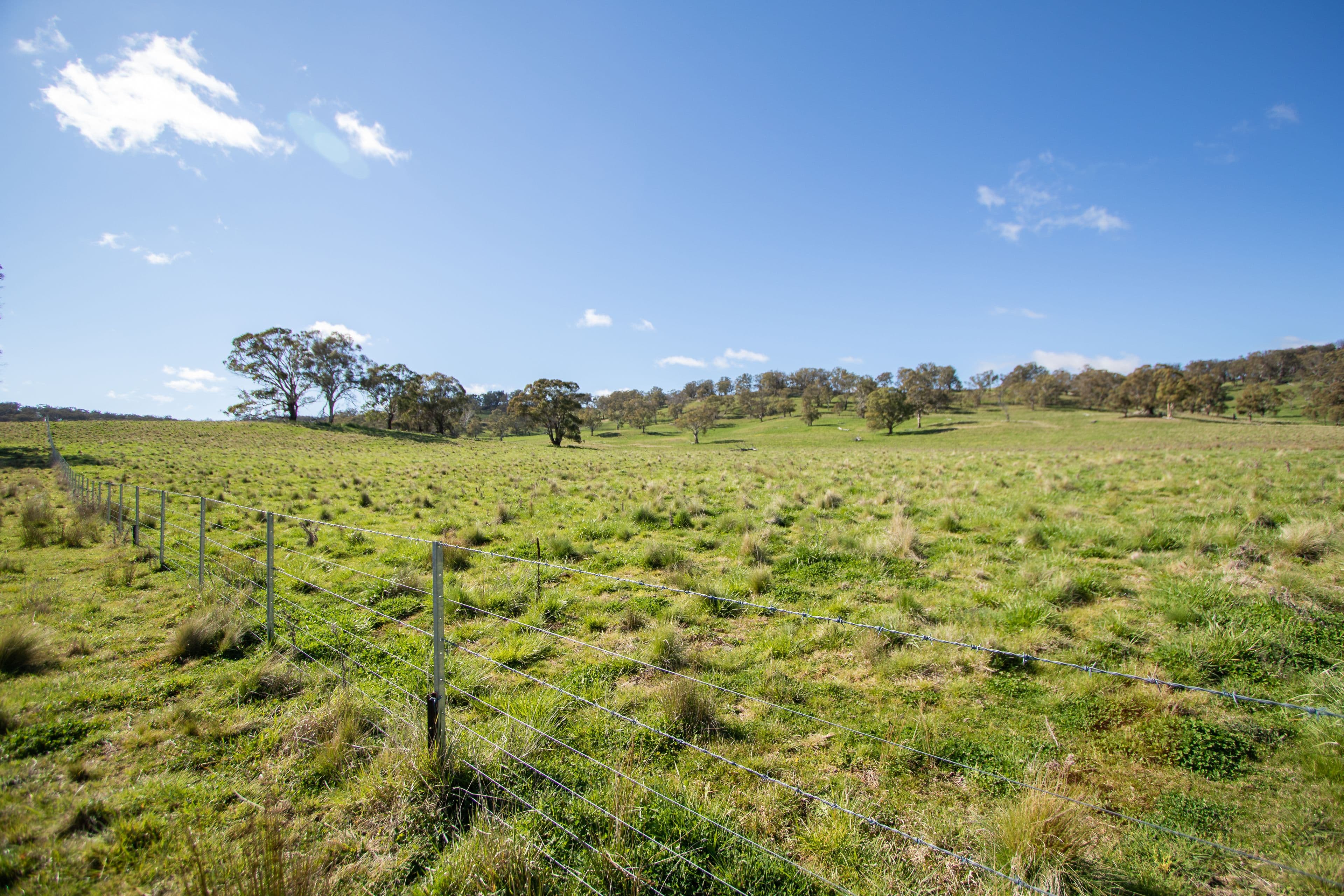 453 Moredun Road, Ben Lomond NSW 2365, Ben Lomond - Thumbnail 6