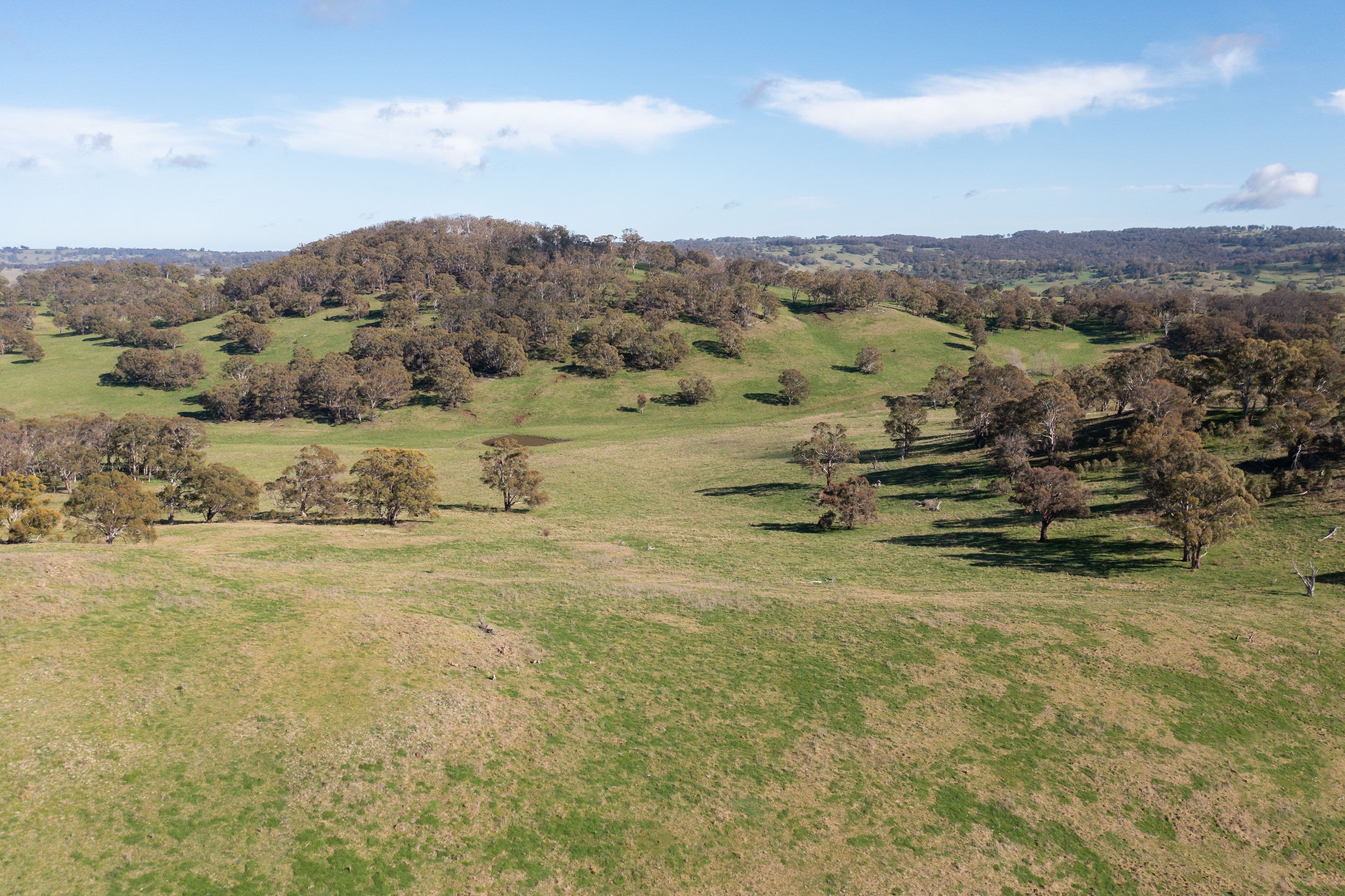 453 Moredun Road, Ben Lomond NSW 2365, Ben Lomond - Thumbnail 7