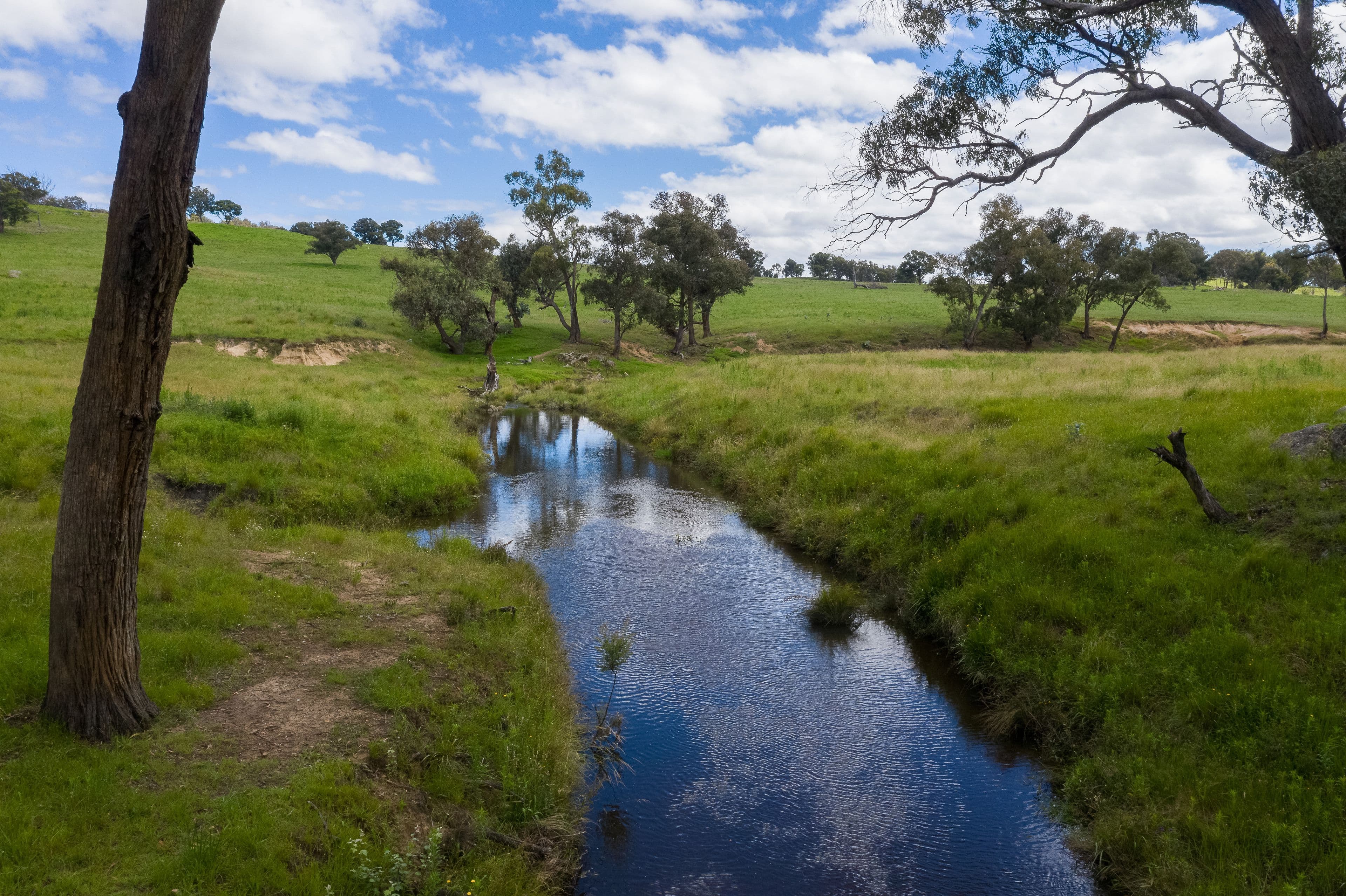 735 Wongwibinda Road, Wollomombi NSW 2350, Wollomombi - Thumbnail 3