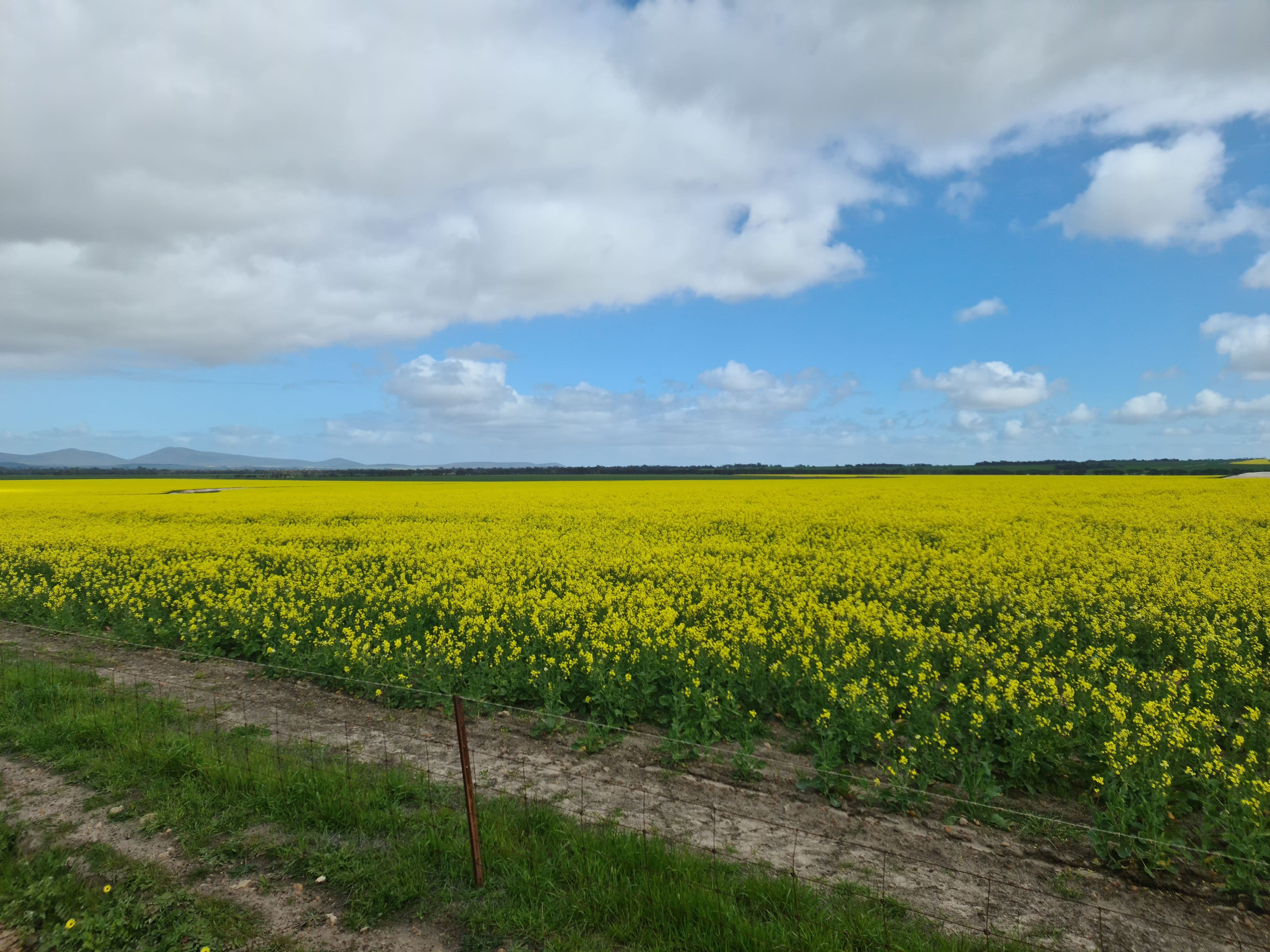 2430 Beejenup Road, Tambellup WA 6320, Tambellup - Thumbnail 4