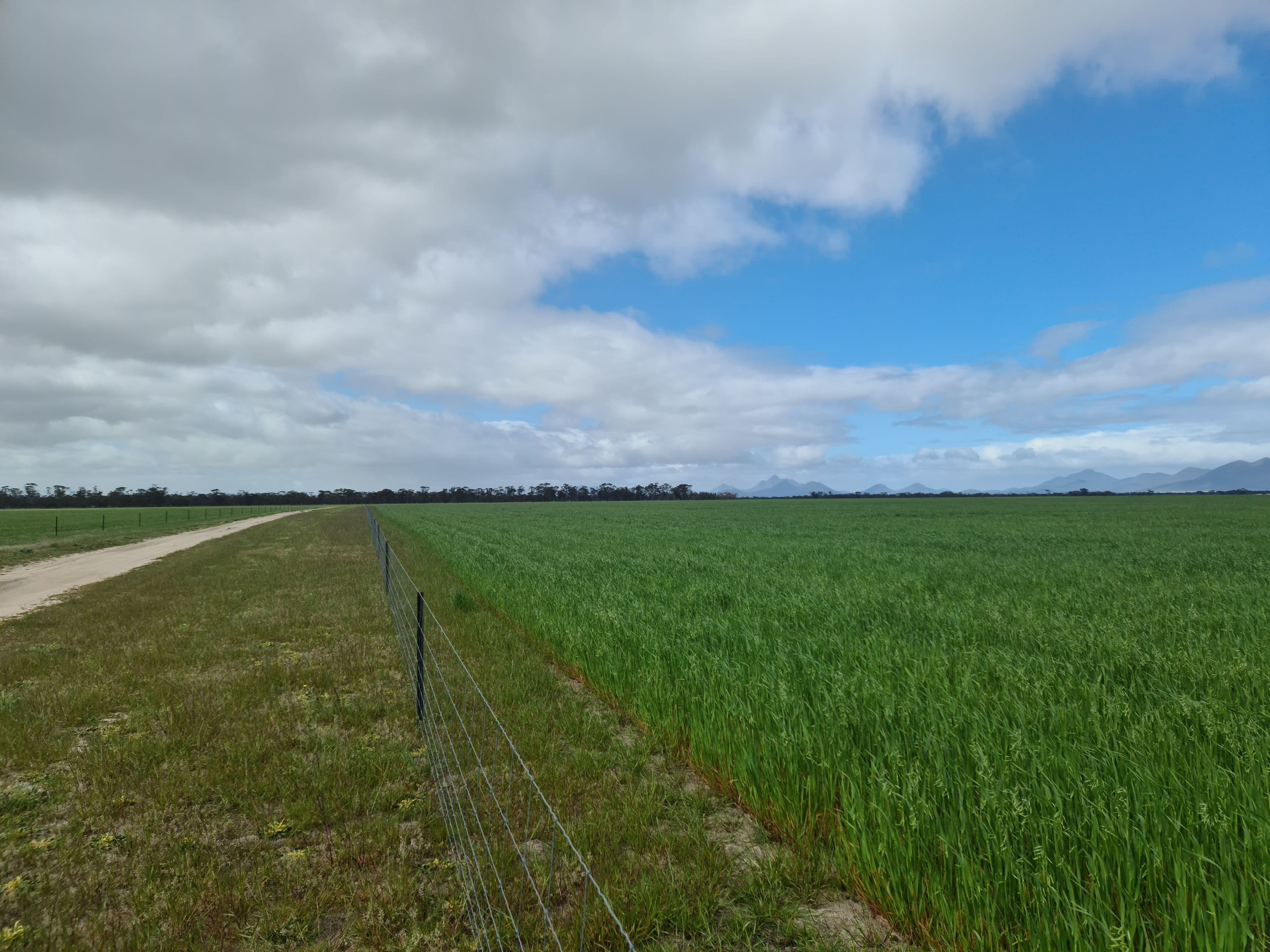2430 Beejenup Road, Tambellup WA 6320, Tambellup - Thumbnail 6