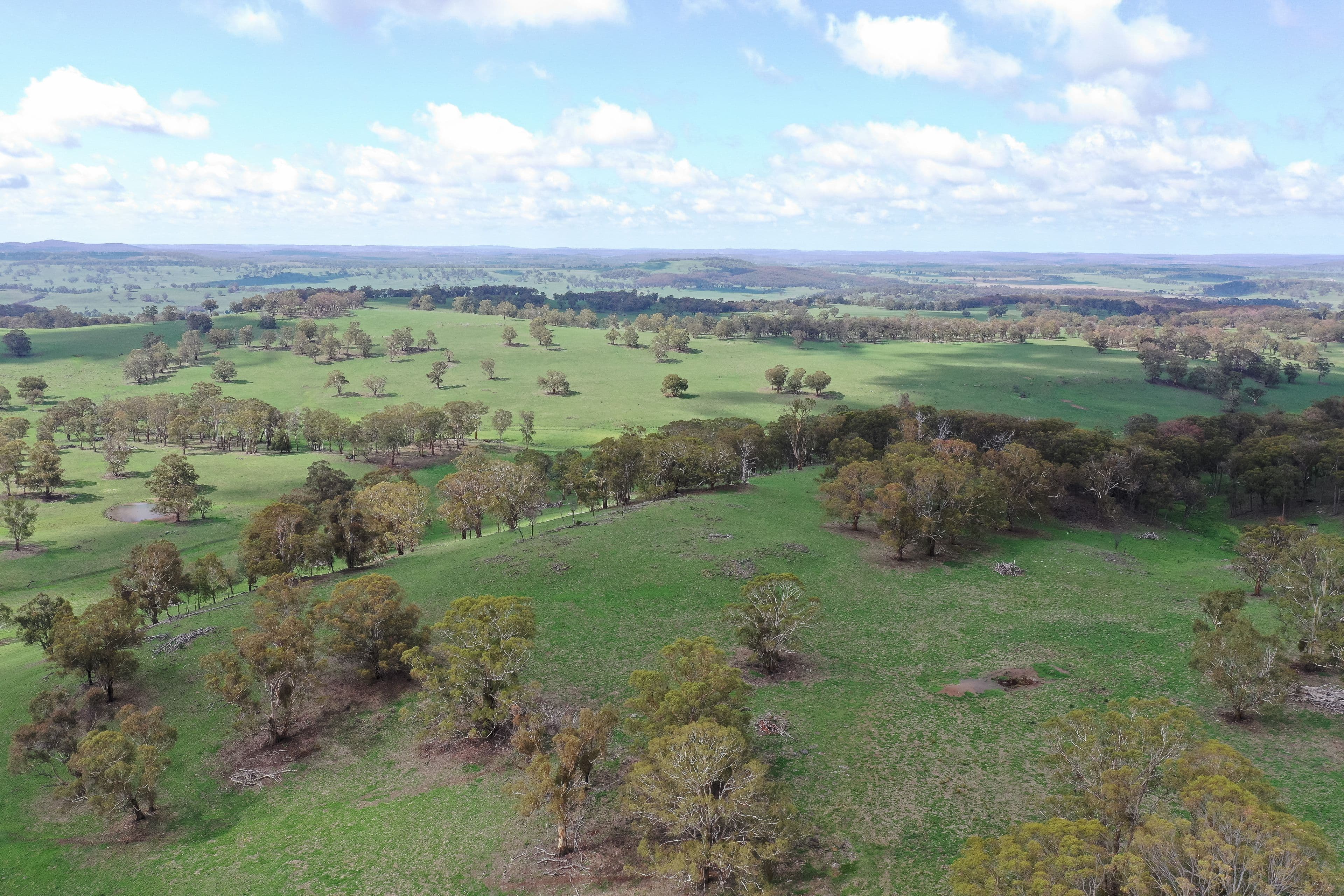 592 Whites Road, Ben Lomond NSW 2365, Ben Lomond - Image 1