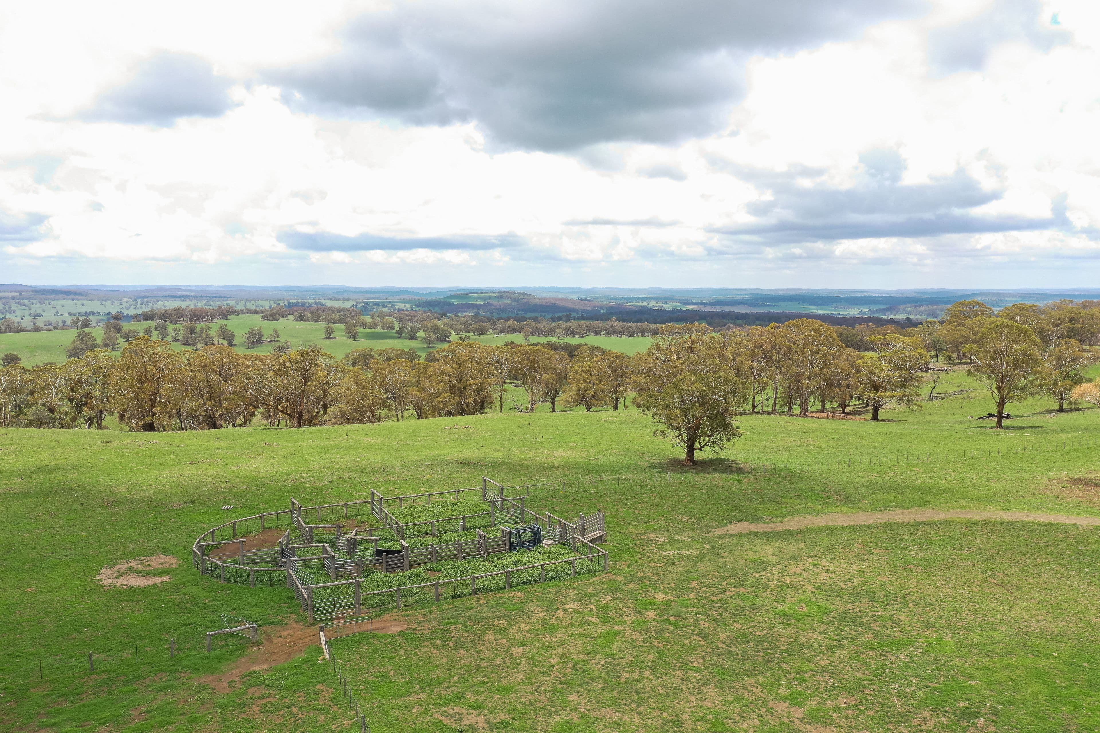 592 Whites Road, Ben Lomond NSW 2365, Ben Lomond - Thumbnail 3