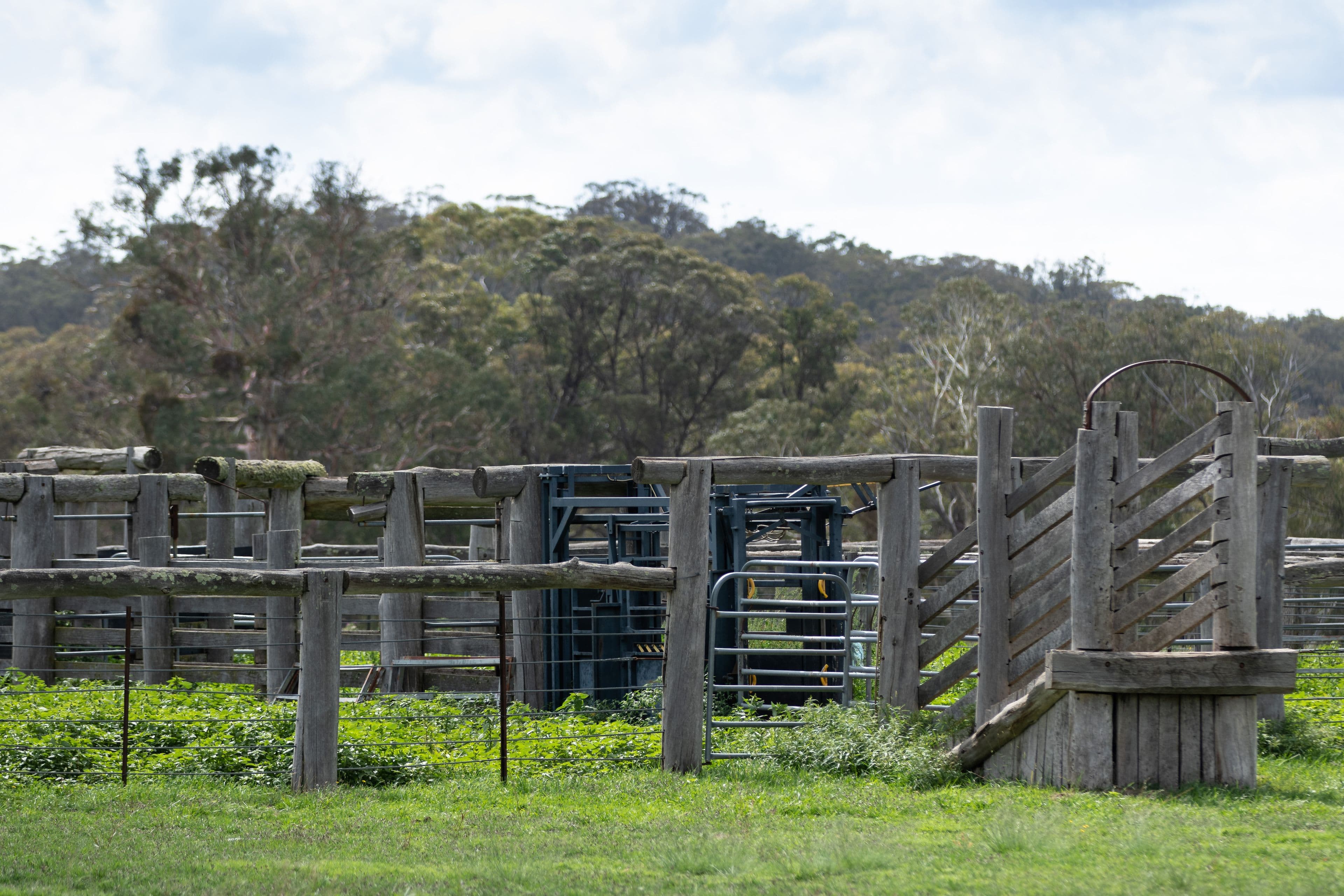 592 Whites Road, Ben Lomond NSW 2365, Ben Lomond - Thumbnail 4