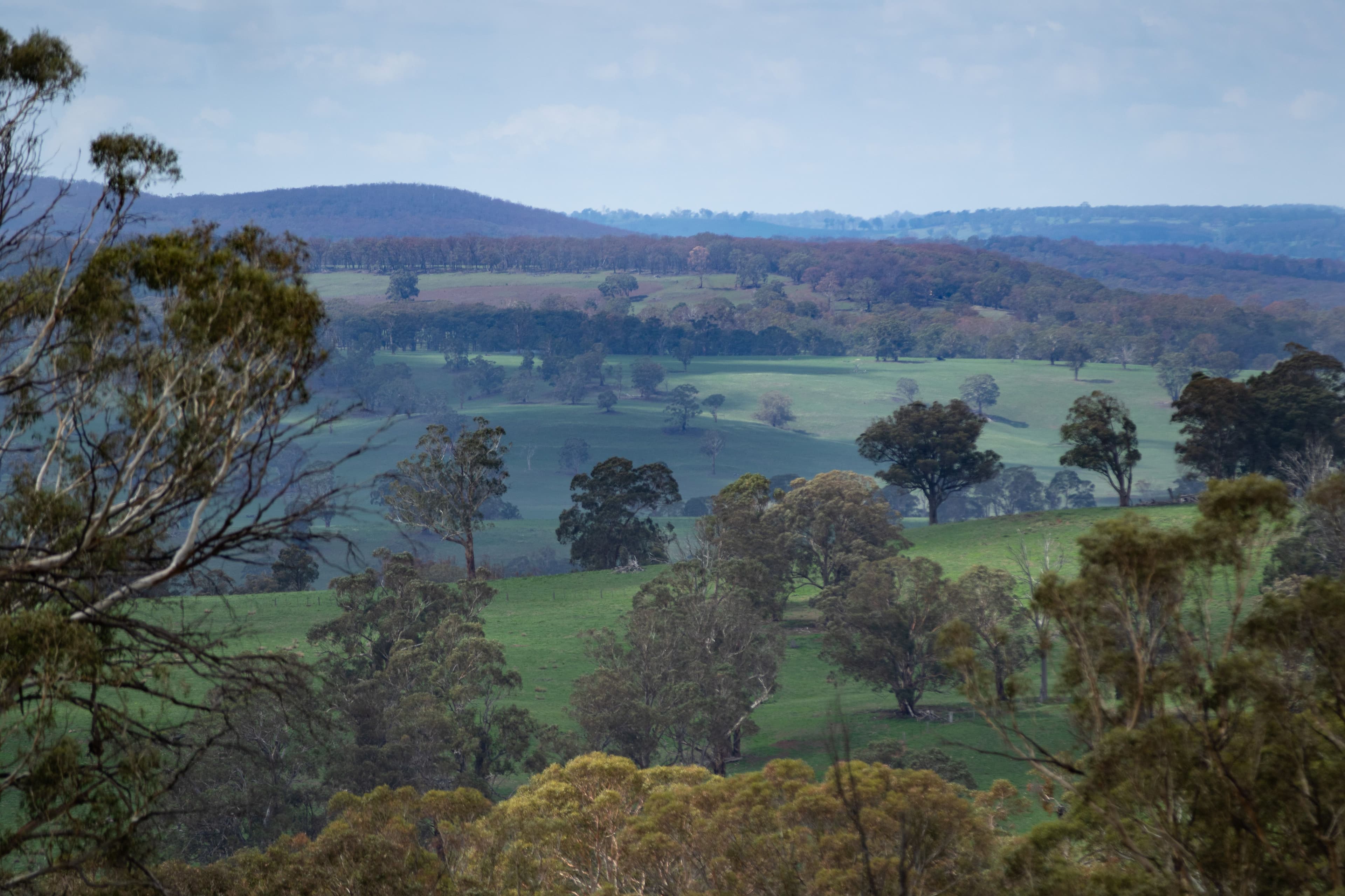 592 Whites Road, Ben Lomond NSW 2365, Ben Lomond - Thumbnail 6