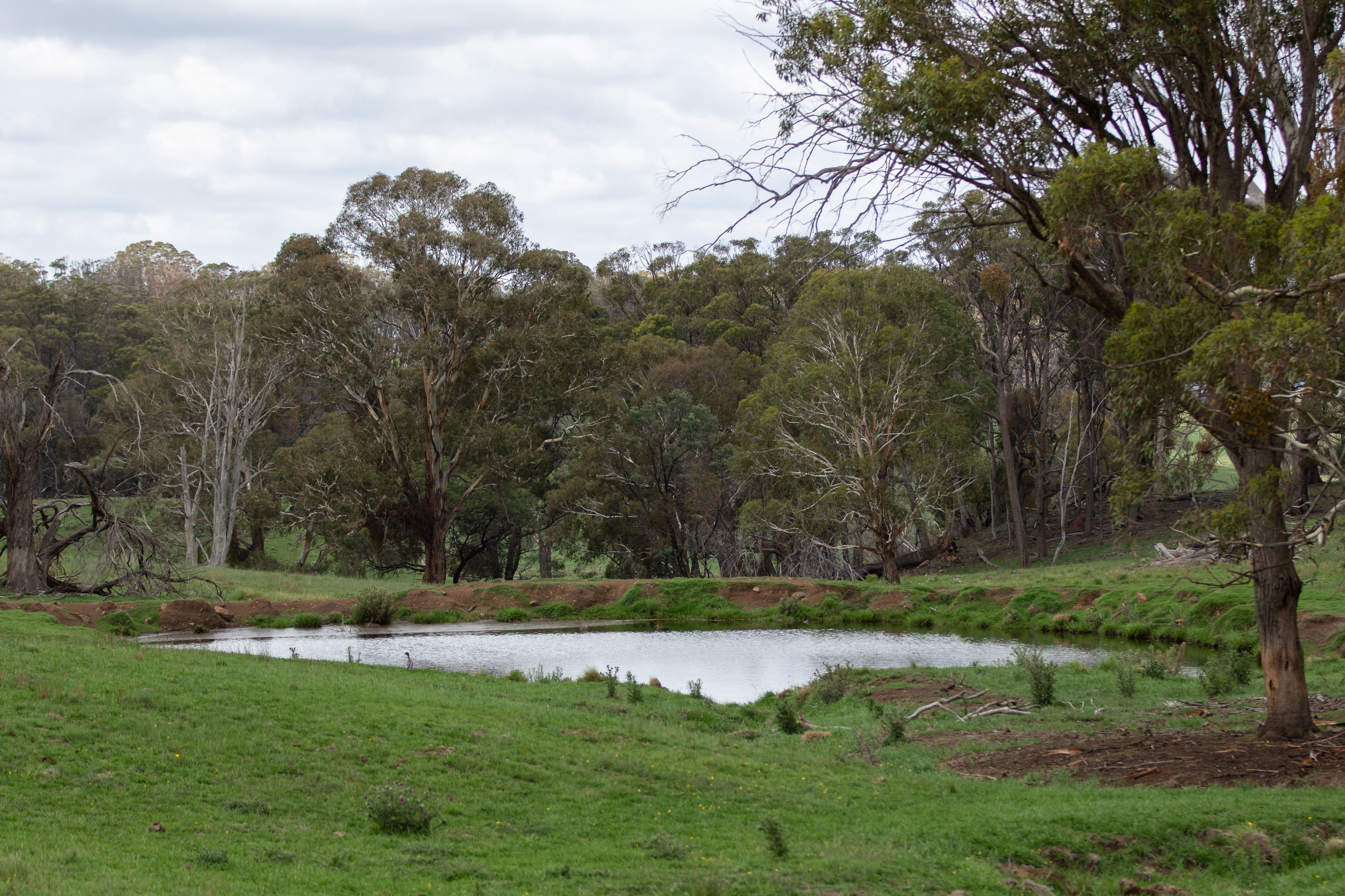 592 Whites Road, Ben Lomond NSW 2365, Ben Lomond - Thumbnail 8