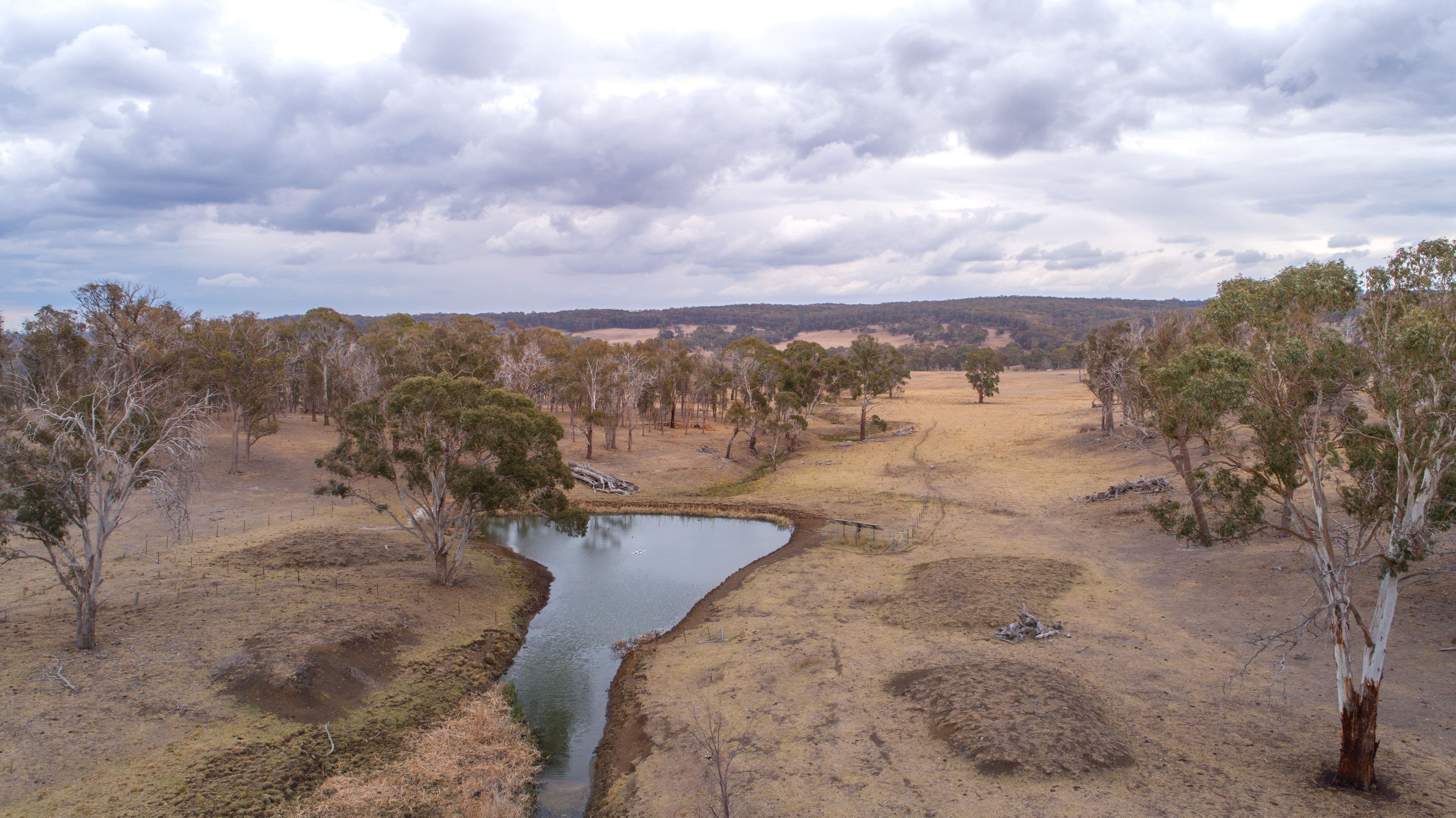 305 Glenshiel Road, Llangothlin NSW 2365, Llangothlin - Thumbnail 3