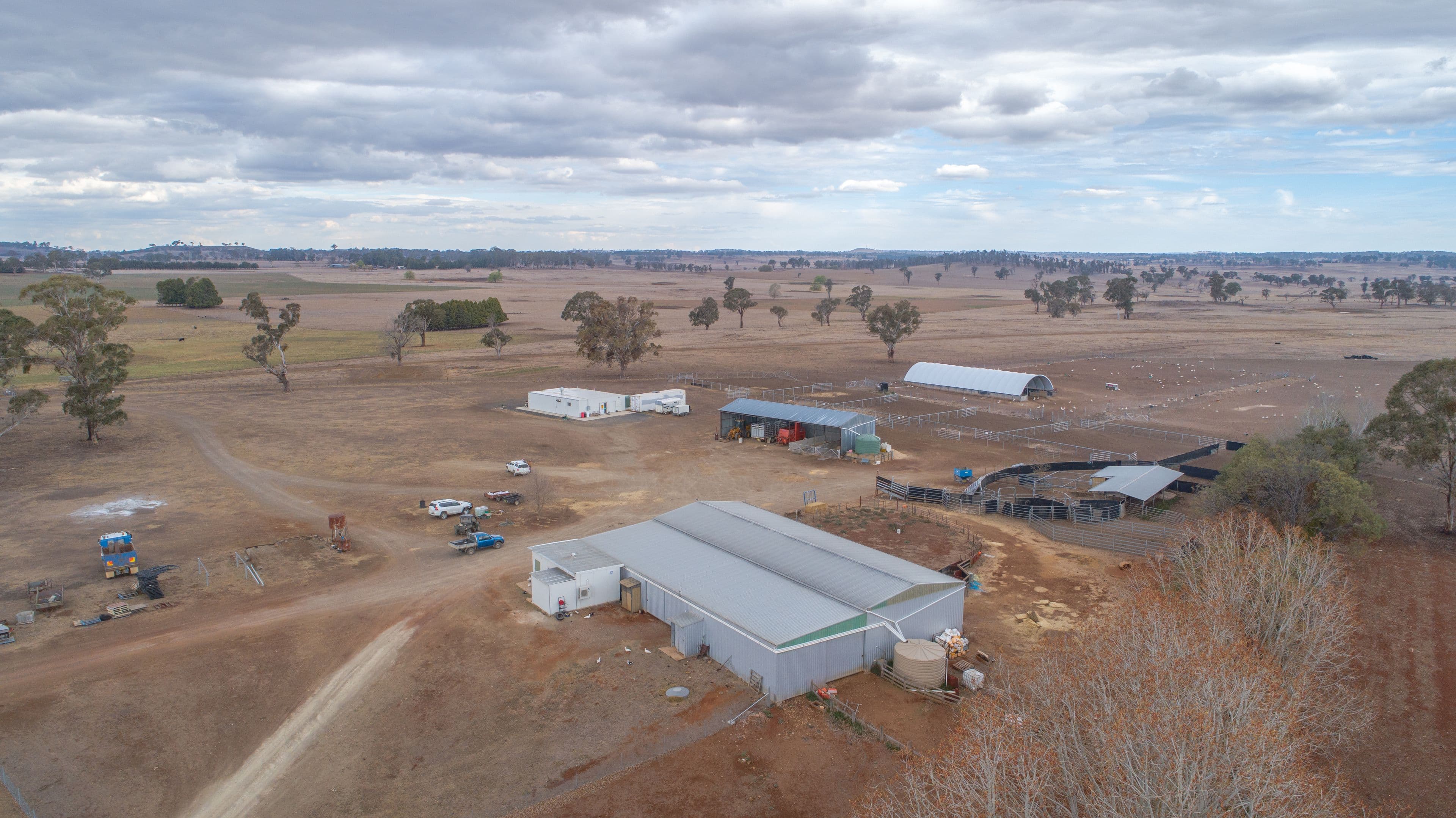 305 Glenshiel Road, Llangothlin NSW 2365, Llangothlin - Thumbnail 4