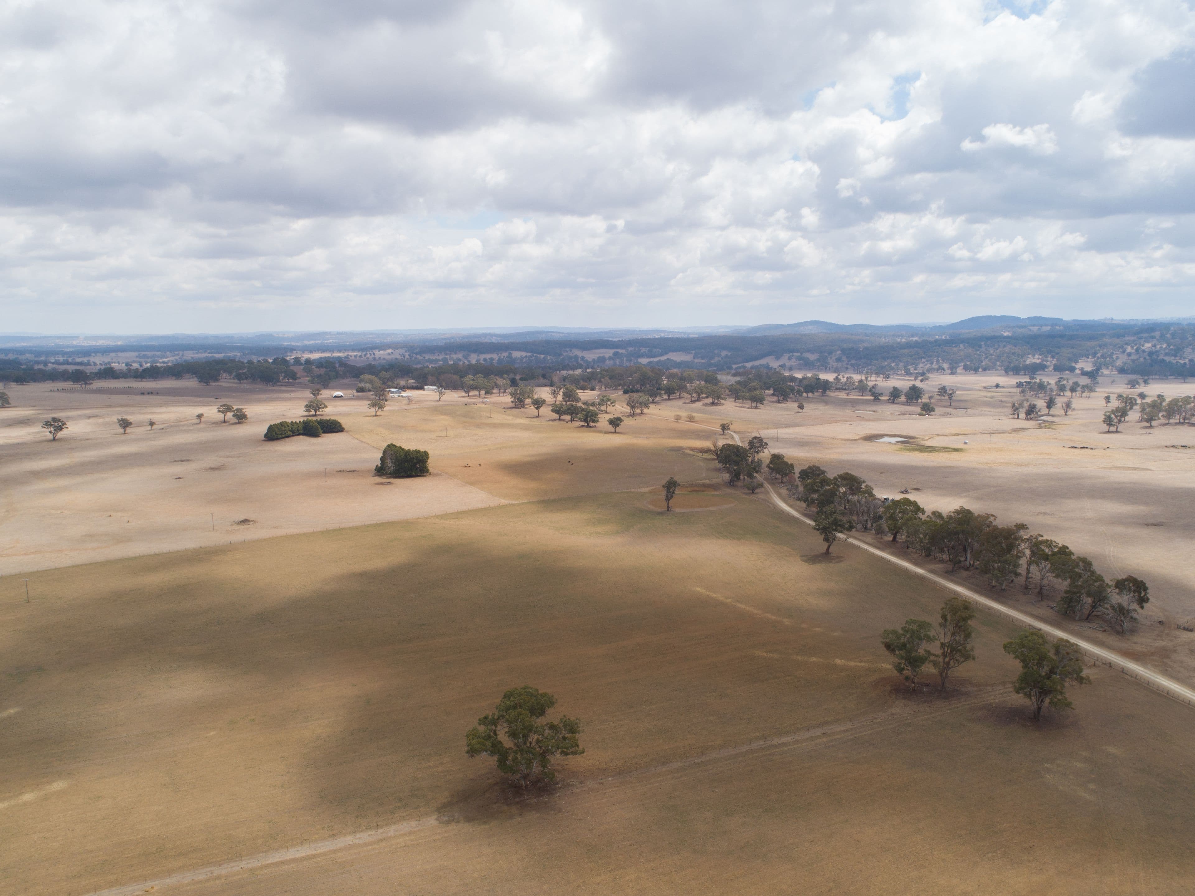 305 Glenshiel Road, Llangothlin NSW 2365, Llangothlin - Thumbnail 8