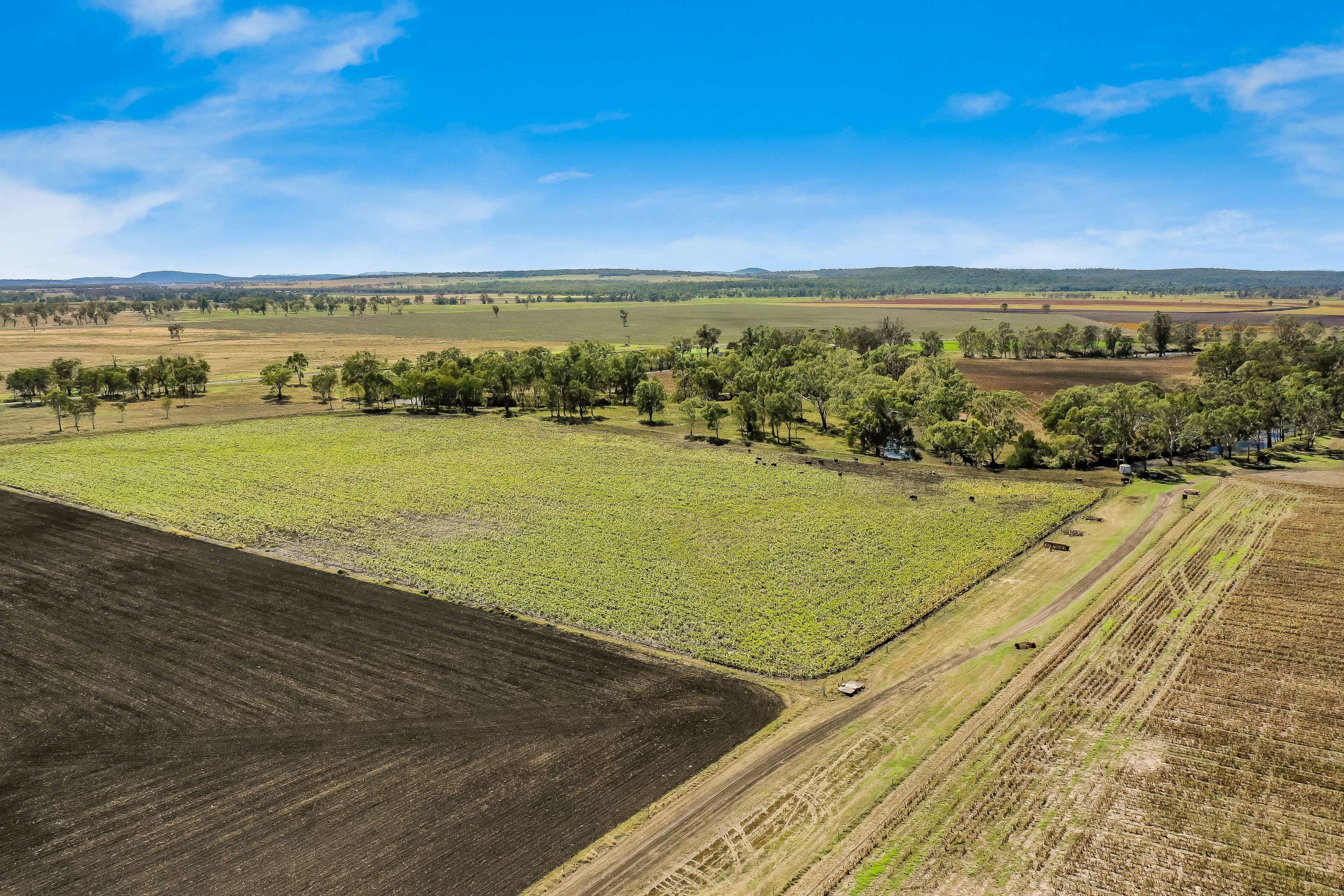0 Toowoomba-Karara Road, Ellangowan QLD 4361, Ellangowan - Thumbnail 3