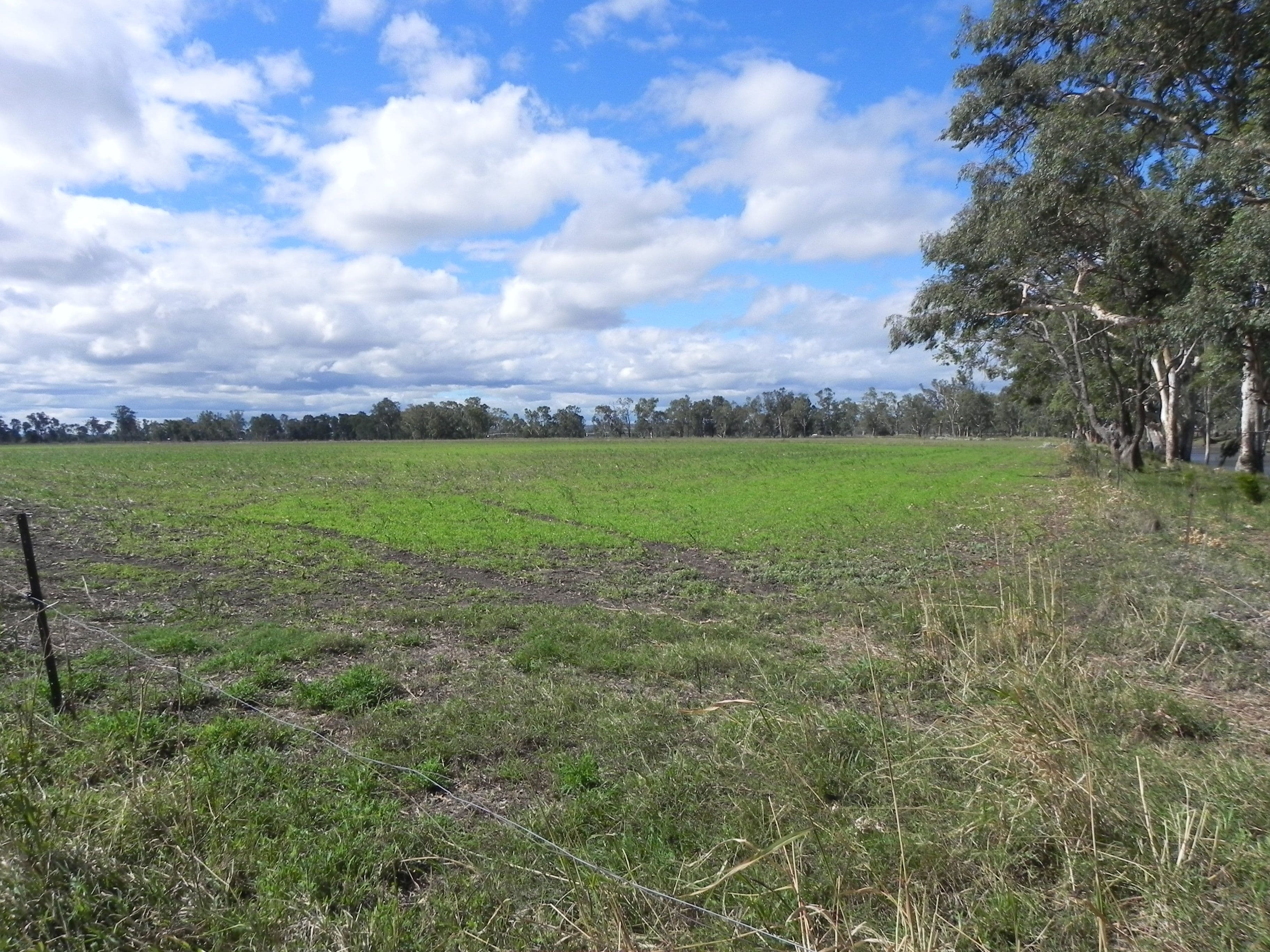 0 Toowoomba-Karara Road, Ellangowan QLD 4361, Ellangowan - Thumbnail 8