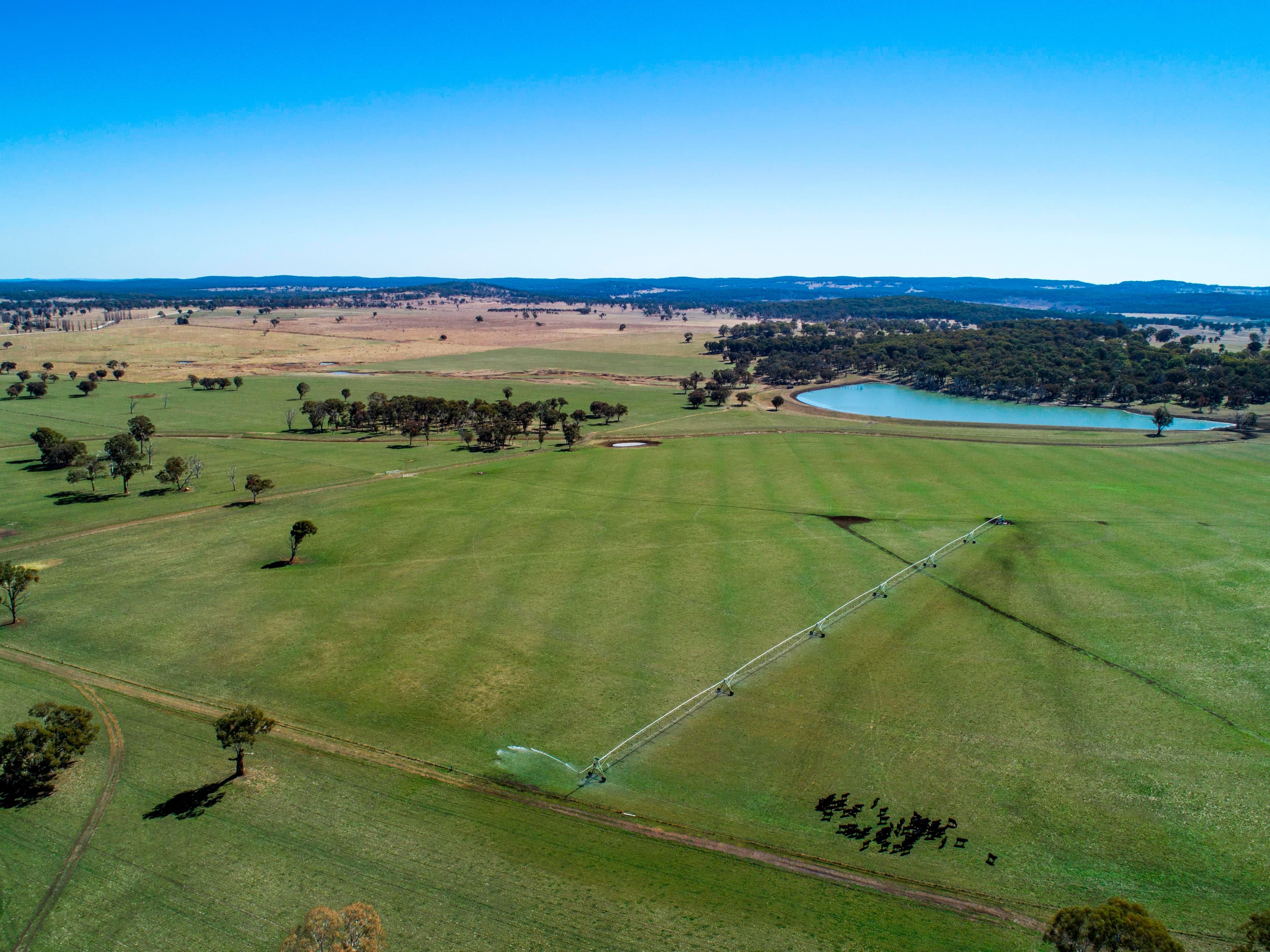1075 Tenterden Road, Guyra NSW 2365, Guyra - Thumbnail 5