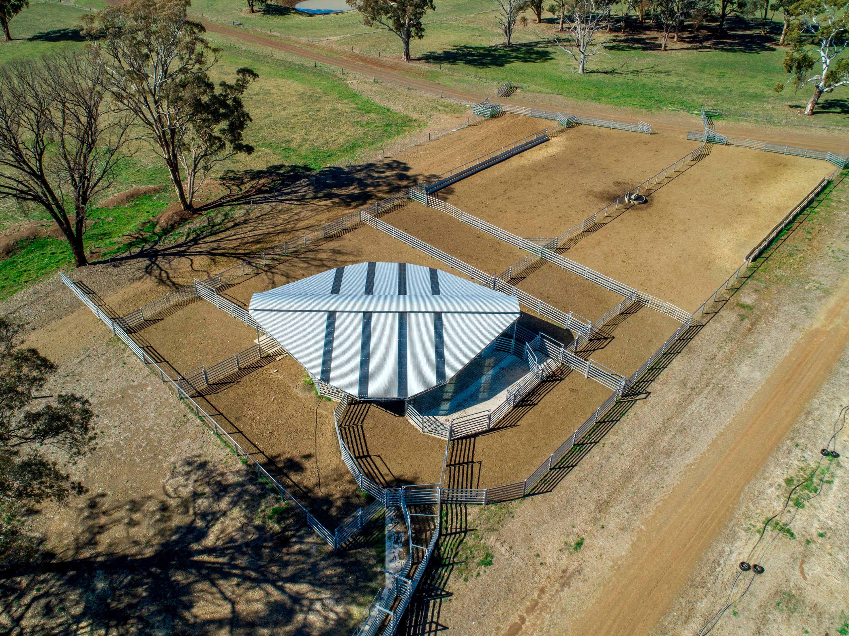 1075 Tenterden Road, Guyra NSW 2365, Guyra - Thumbnail 6