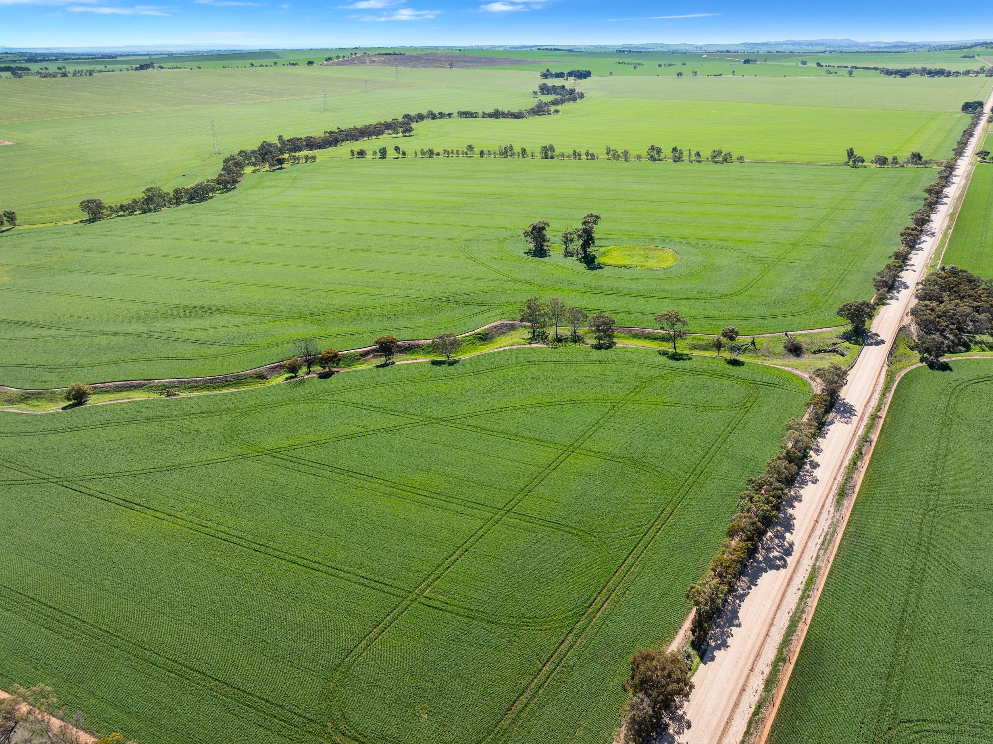 'Argyle Farm' Freebairn Road, Alma SA 5401, Alma - Image 1