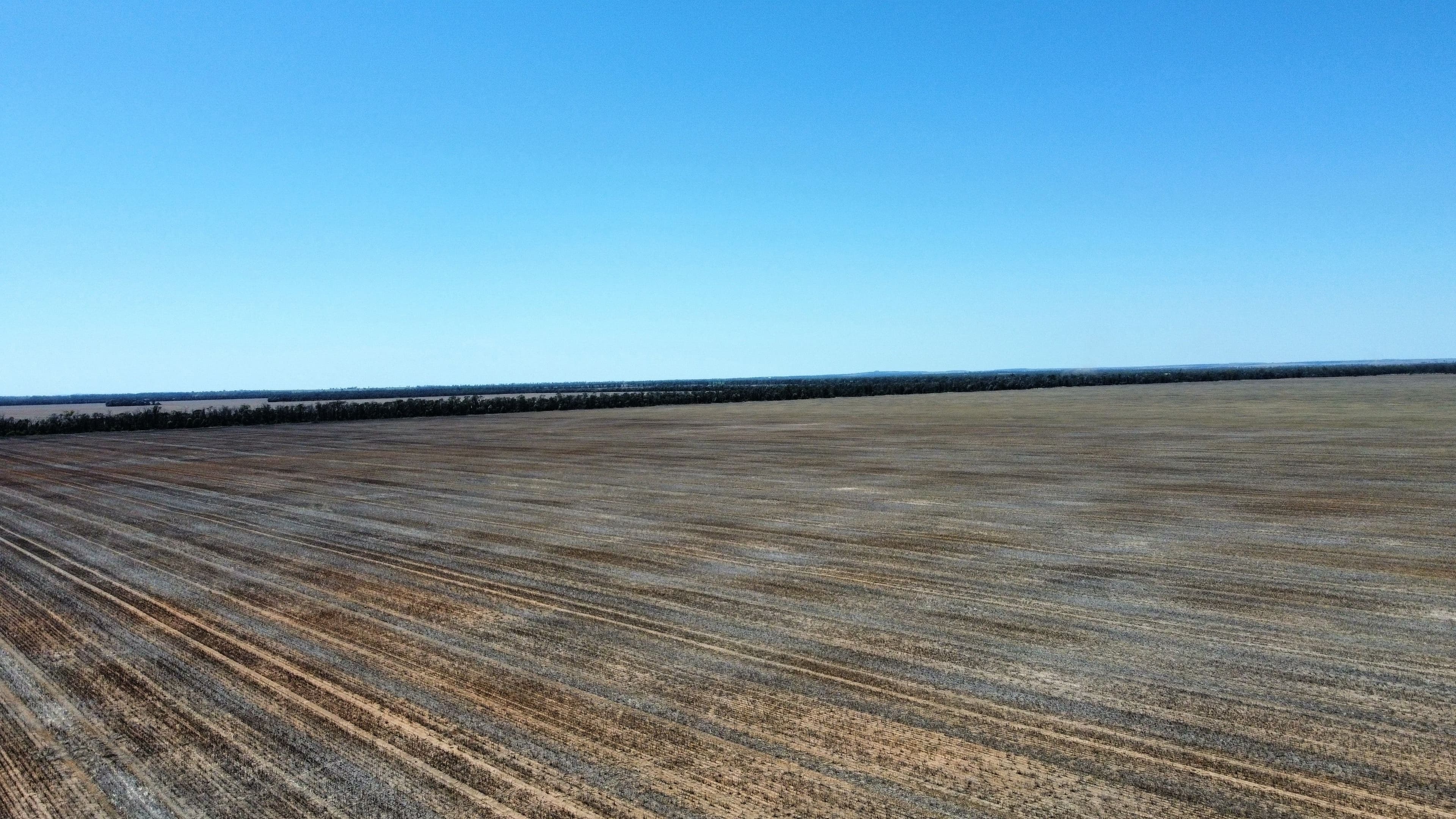543 Forest Creek Road, North Star NSW 2408, North Star - Thumbnail 6