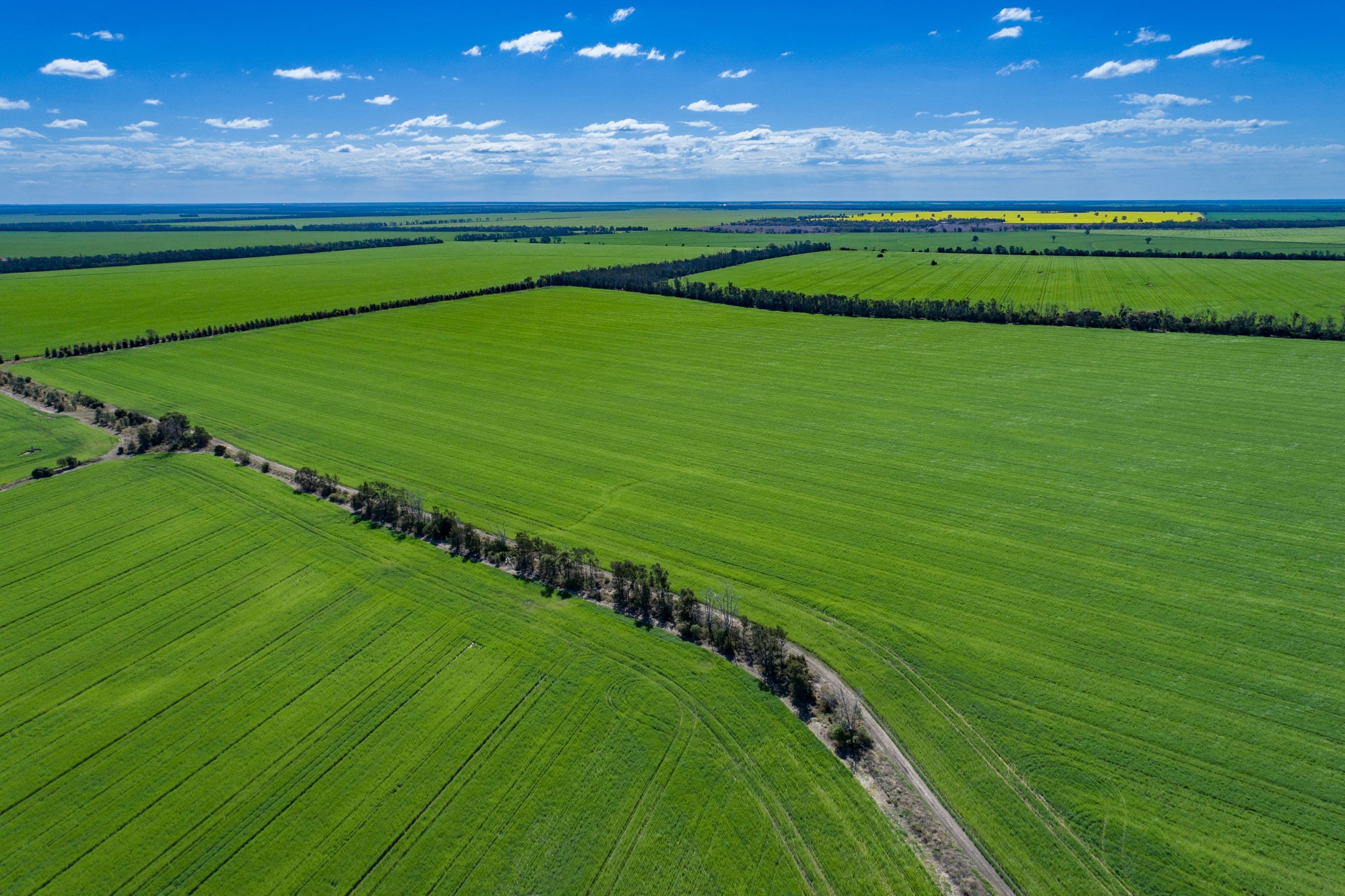 498 Strangford Road, Moree NSW 2400, Moree - Image 1