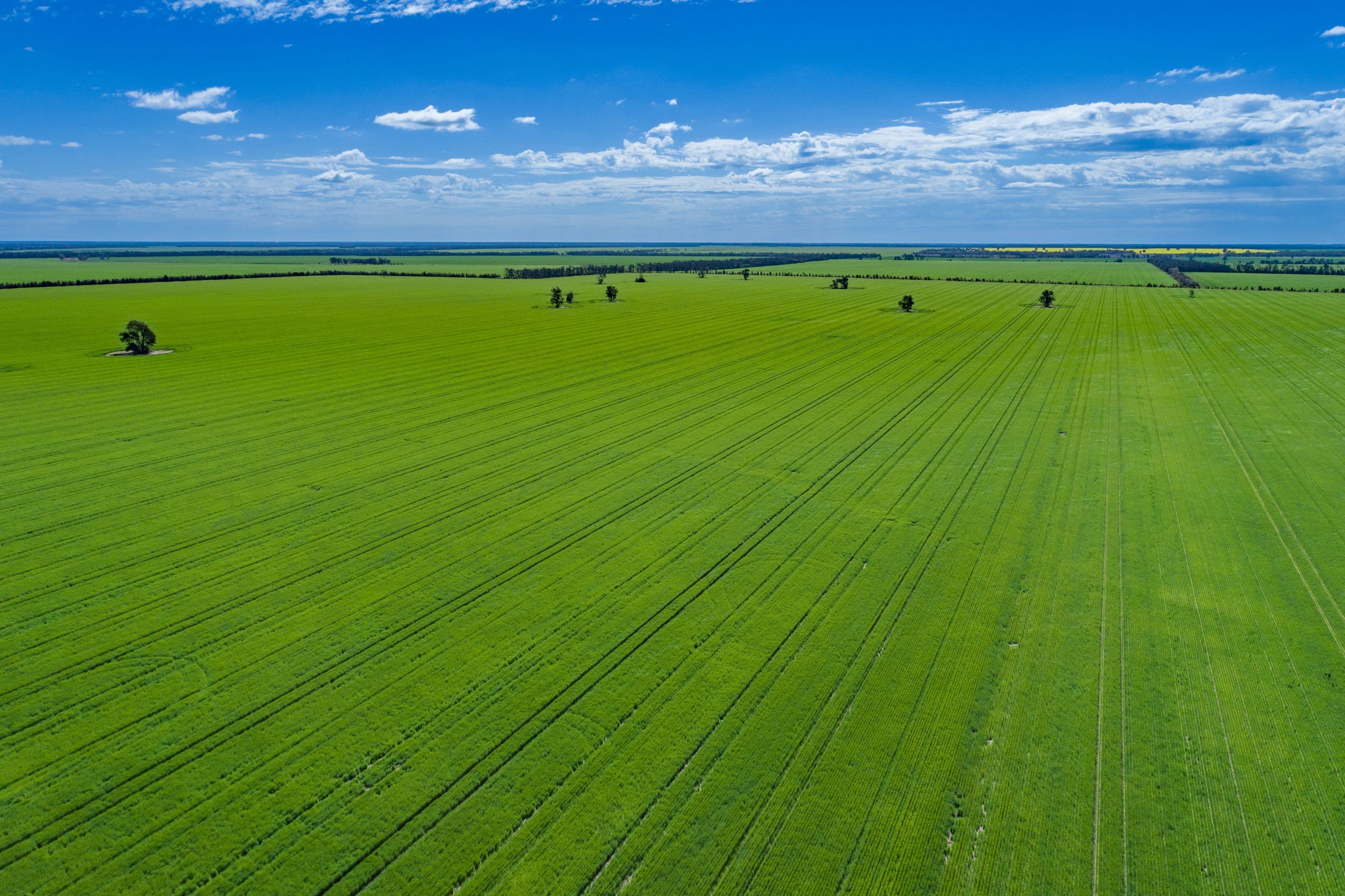 498 Strangford Road, Moree NSW 2400, Moree - Thumbnail 3