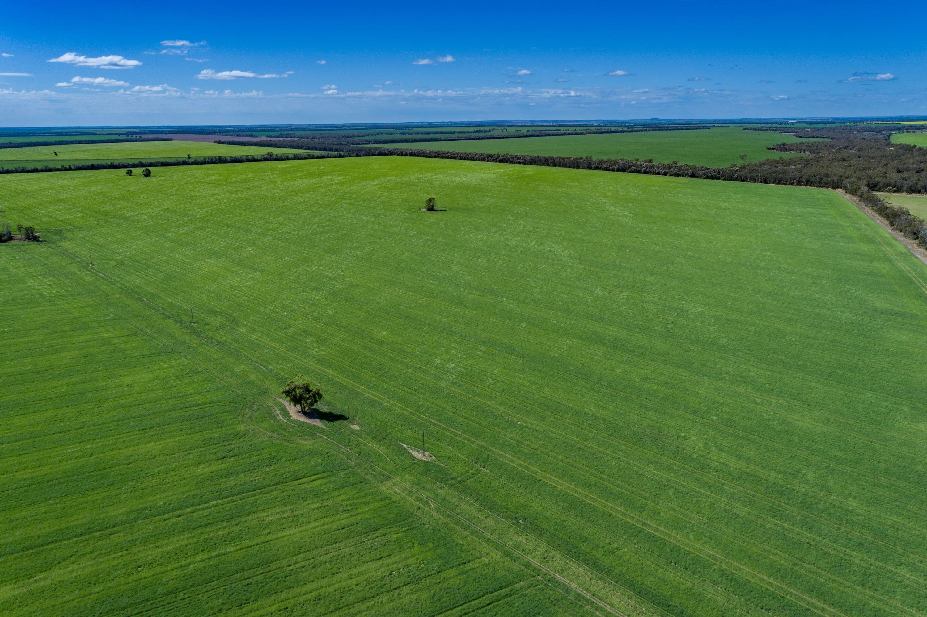 498 Strangford Road, Croppa Creek NSW 2411, Croppa Creek - Thumbnail 2