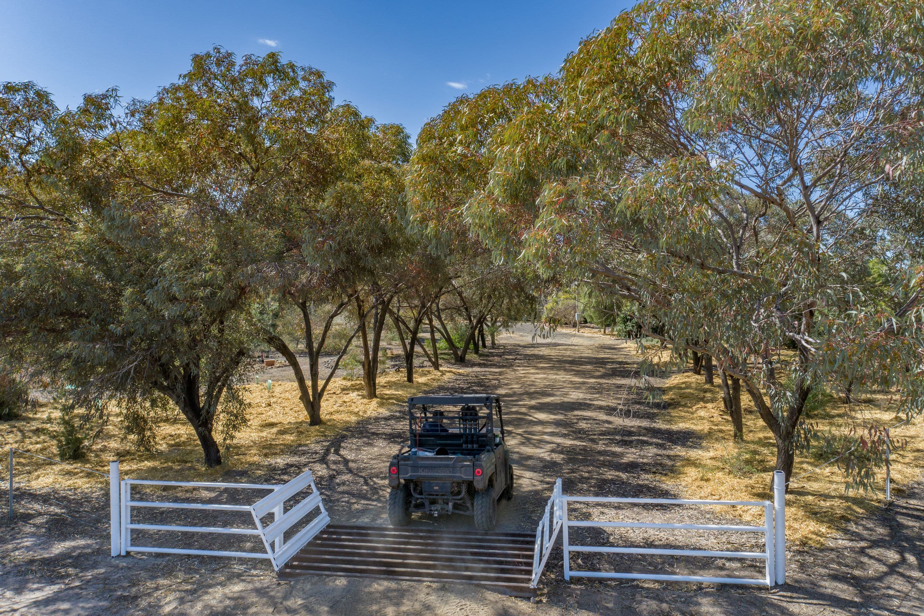498 Strangford Road, Croppa Creek NSW 2411, Croppa Creek - Thumbnail 7