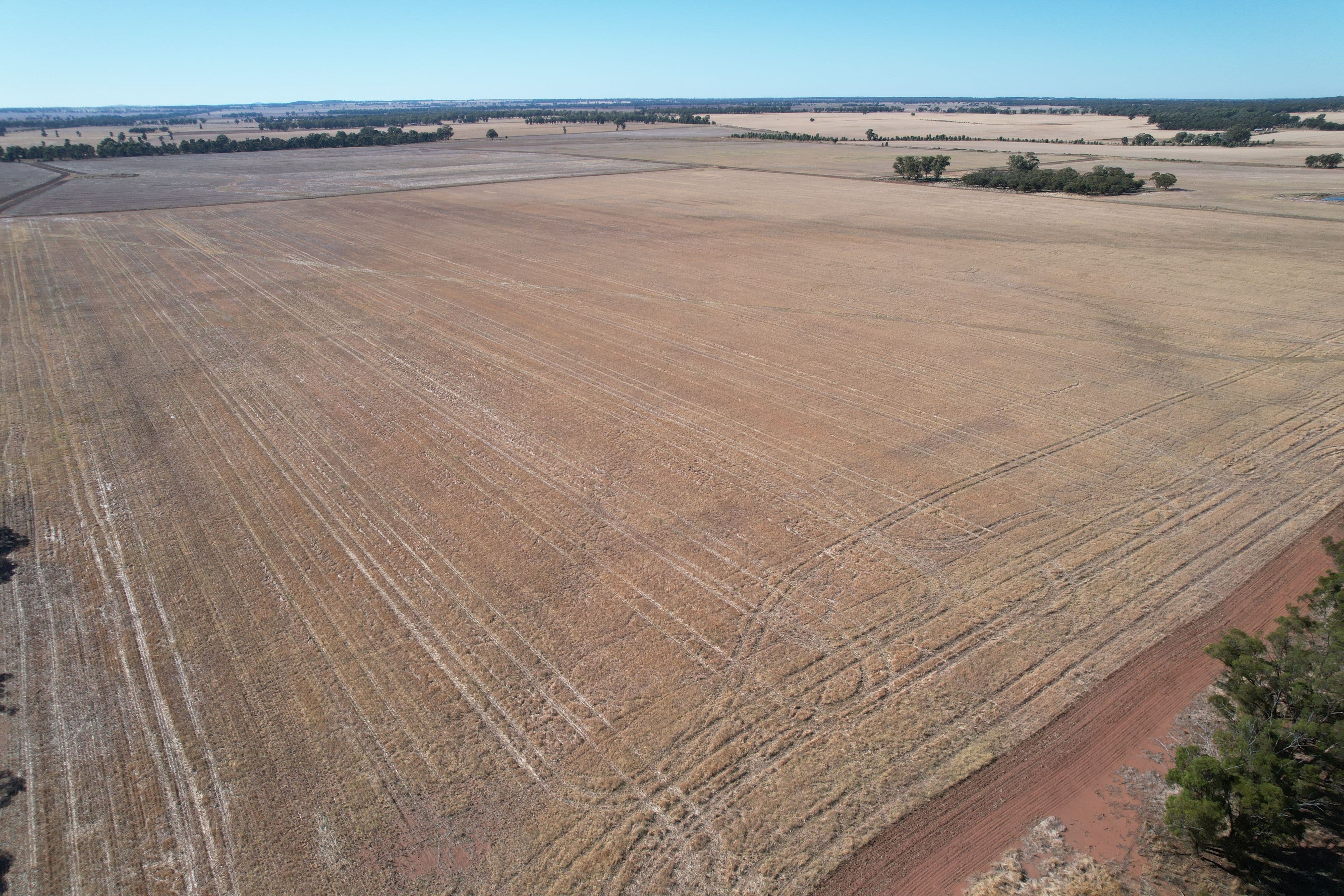 2417 Alleena Road, West Wyalong NSW 2671, West Wyalong - Thumbnail 2