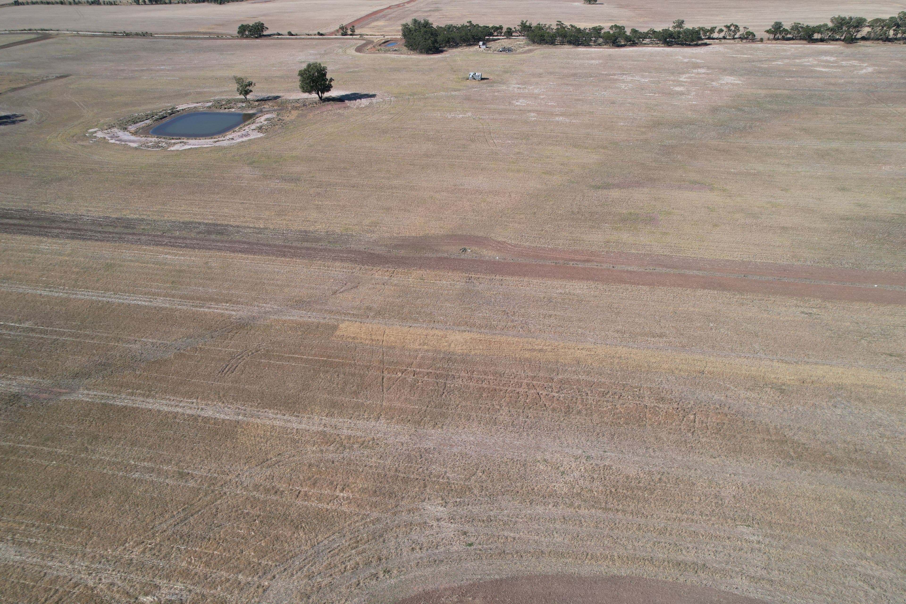 2417 Alleena Road, West Wyalong NSW 2671, West Wyalong - Thumbnail 3