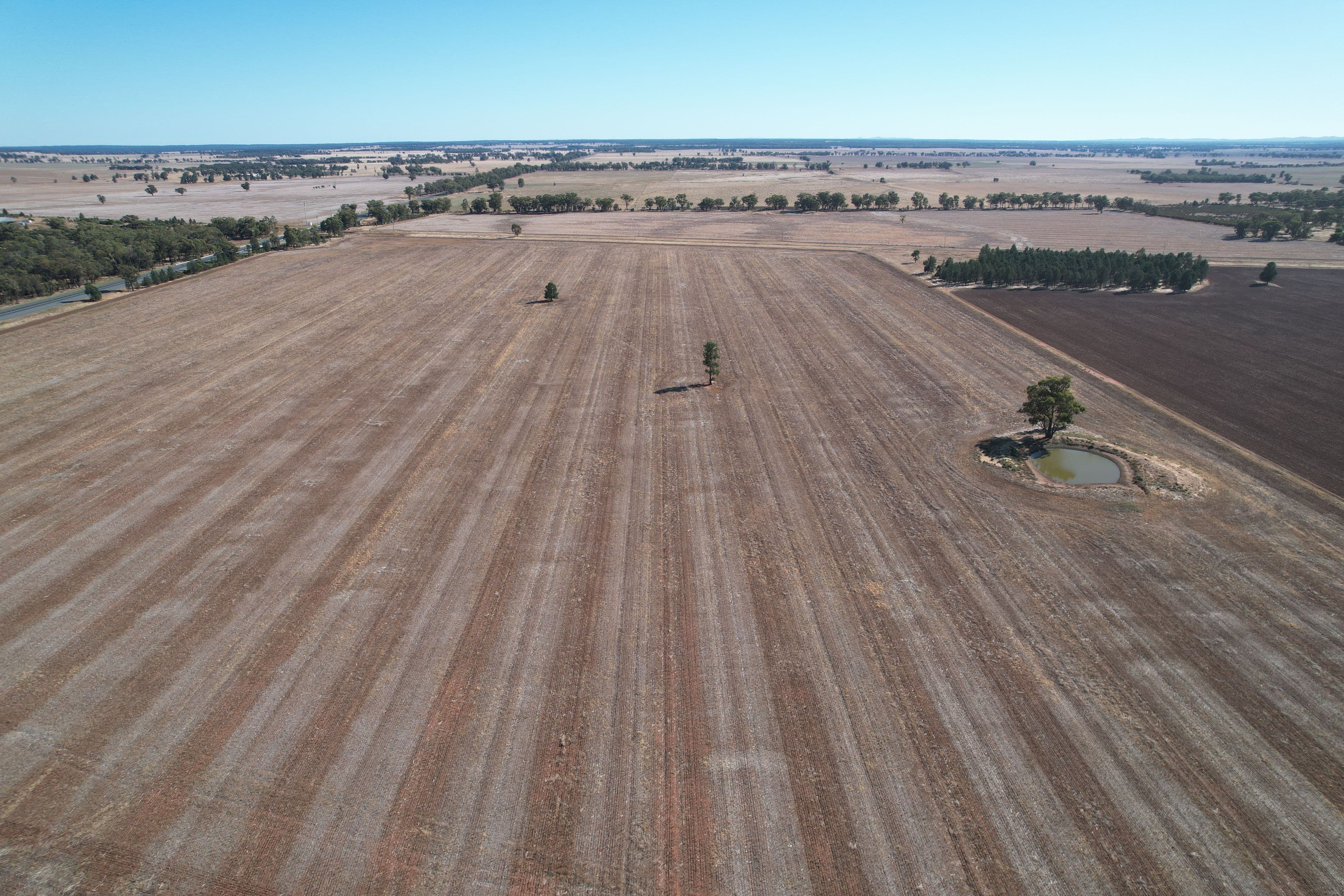 2417 Alleena Road, West Wyalong NSW 2671, West Wyalong - Thumbnail 6