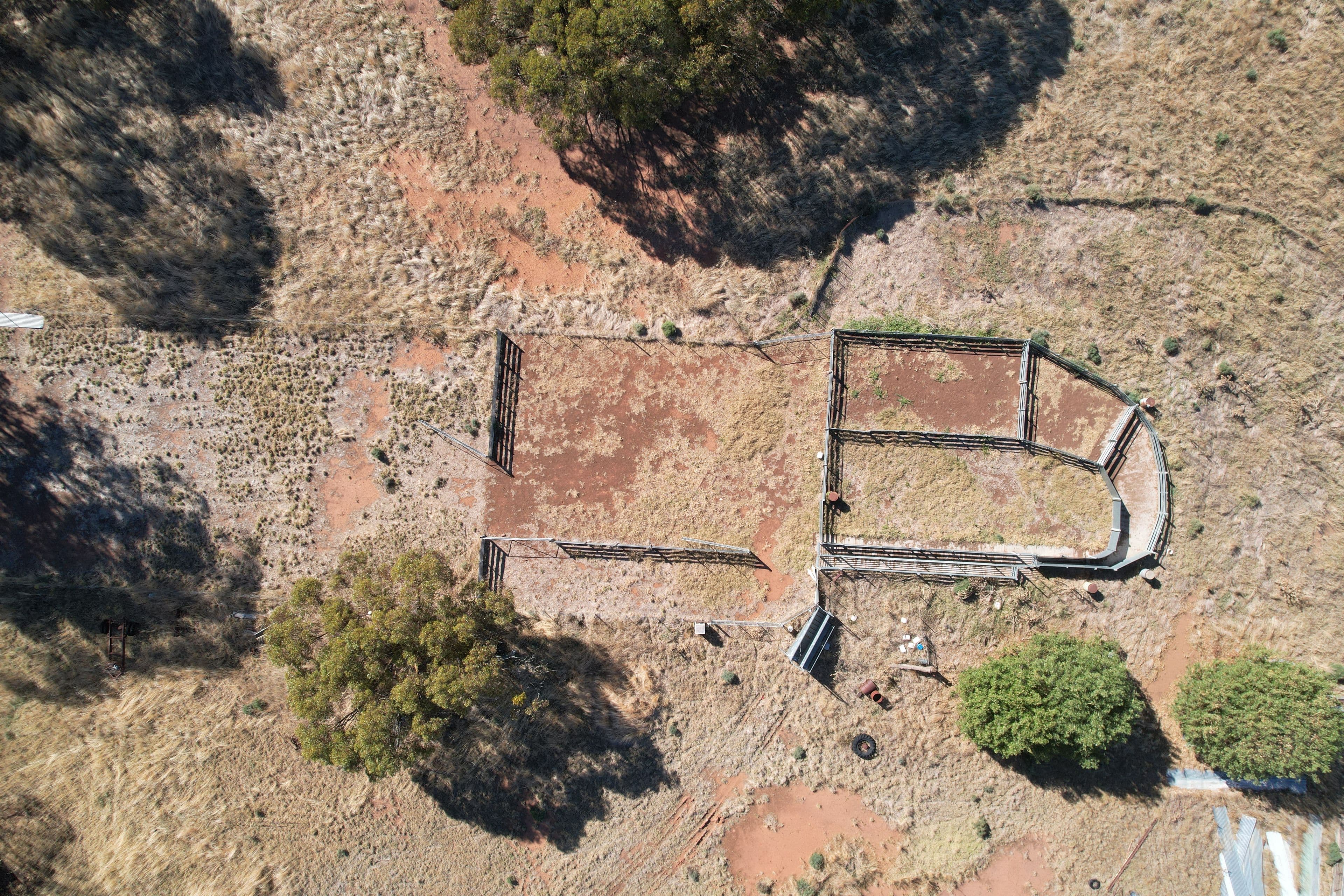 2417 Alleena Road, West Wyalong NSW 2671, West Wyalong - Thumbnail 7