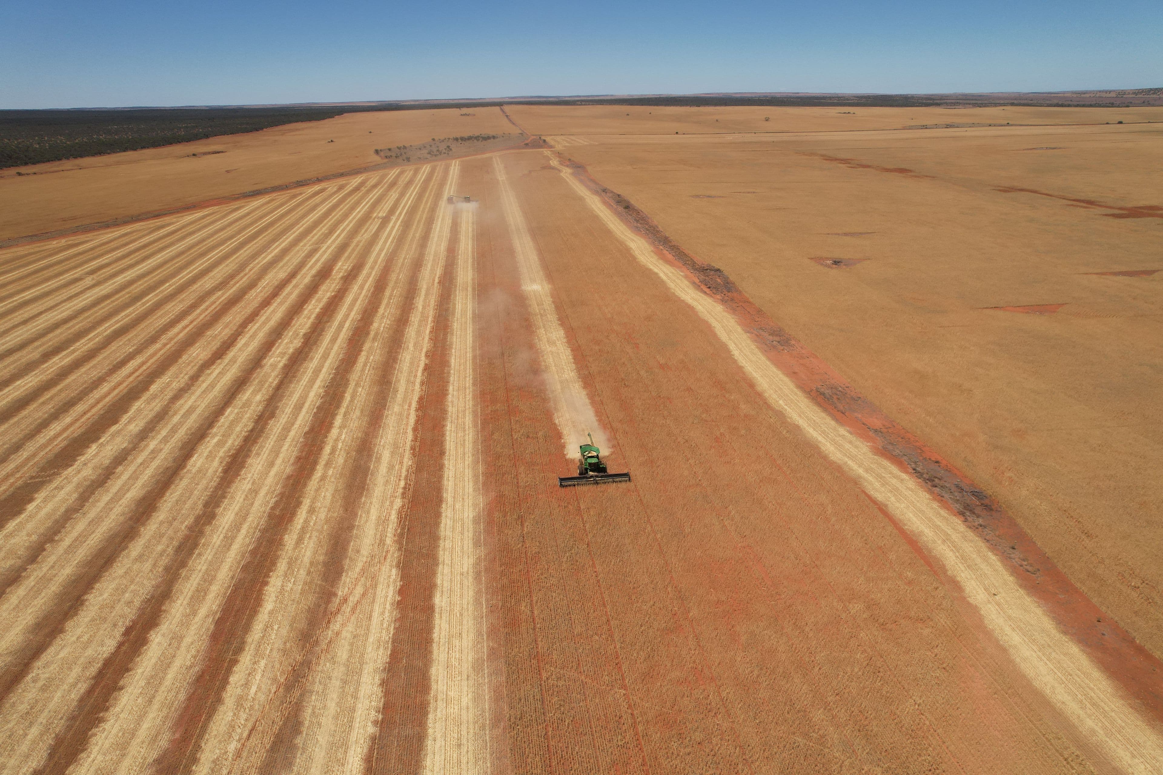 Daisy Downs, 1730 Nuberro Road, Mullewa WA 6630, Mullewa - Thumbnail 3
