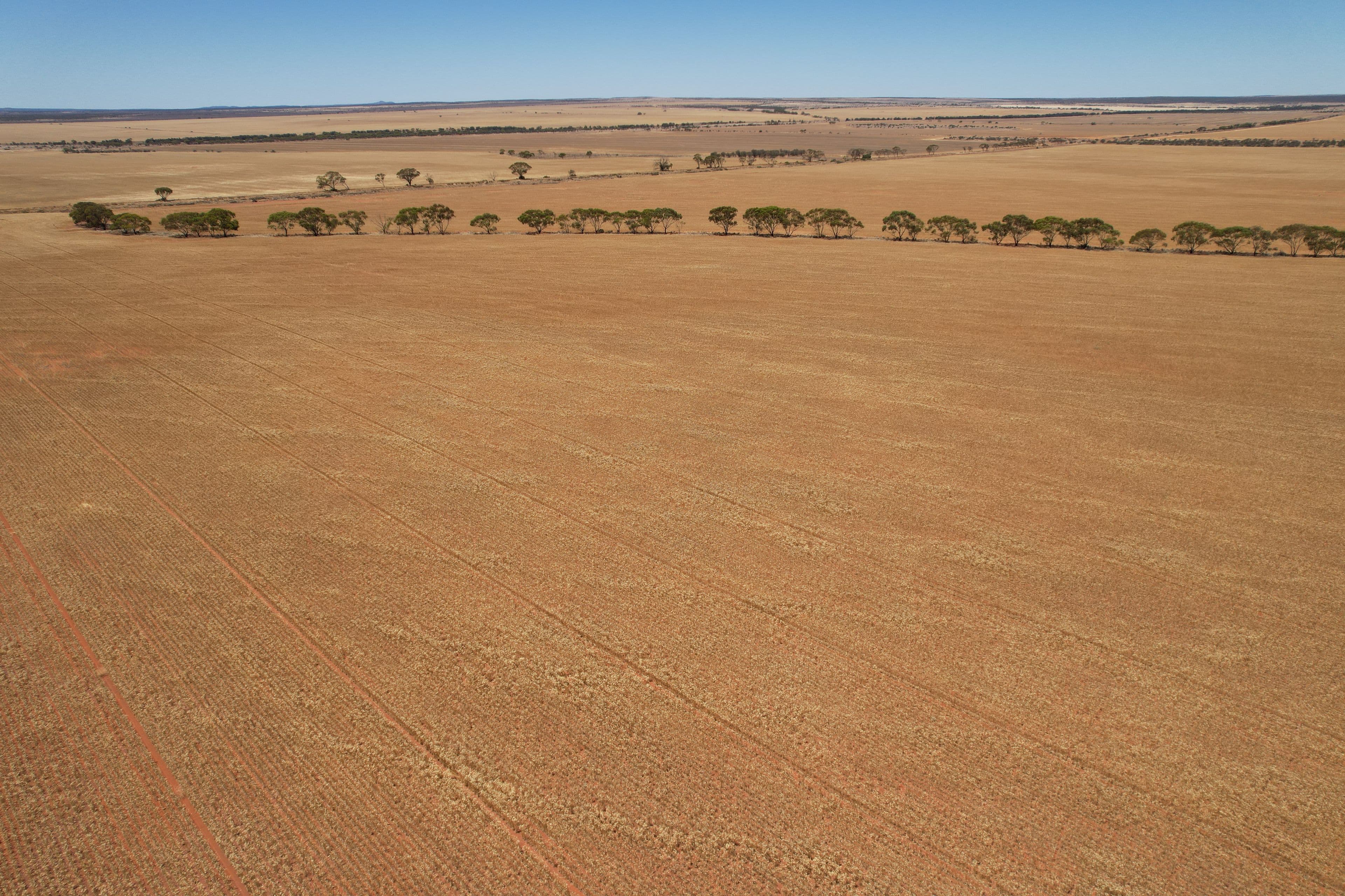 Daisy Downs, 1730 Nuberro Road, Mullewa WA 6630, Mullewa - Thumbnail 5