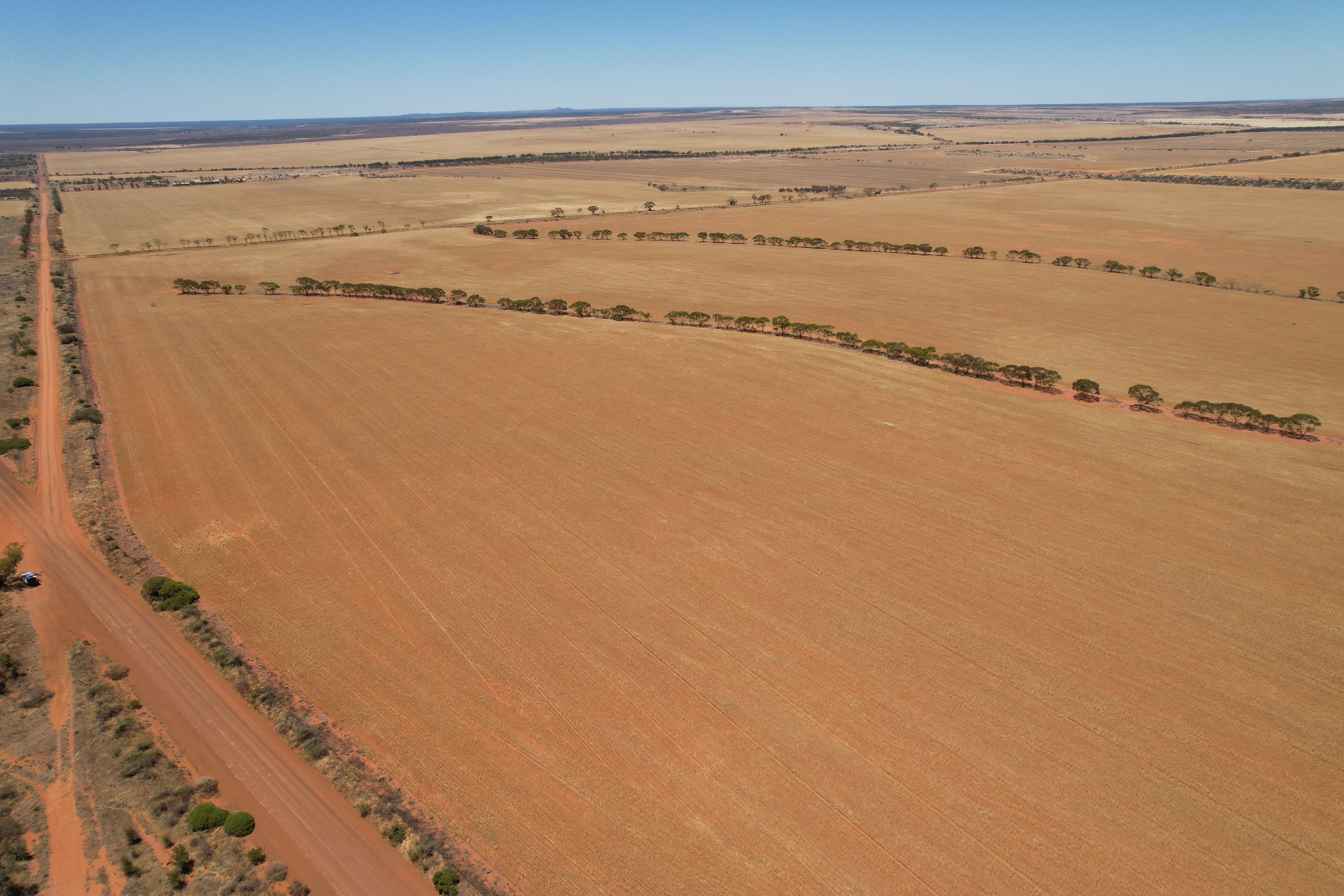 Daisy Downs, 1730 Nuberro Road, Mullewa WA 6630, Mullewa - Thumbnail 6