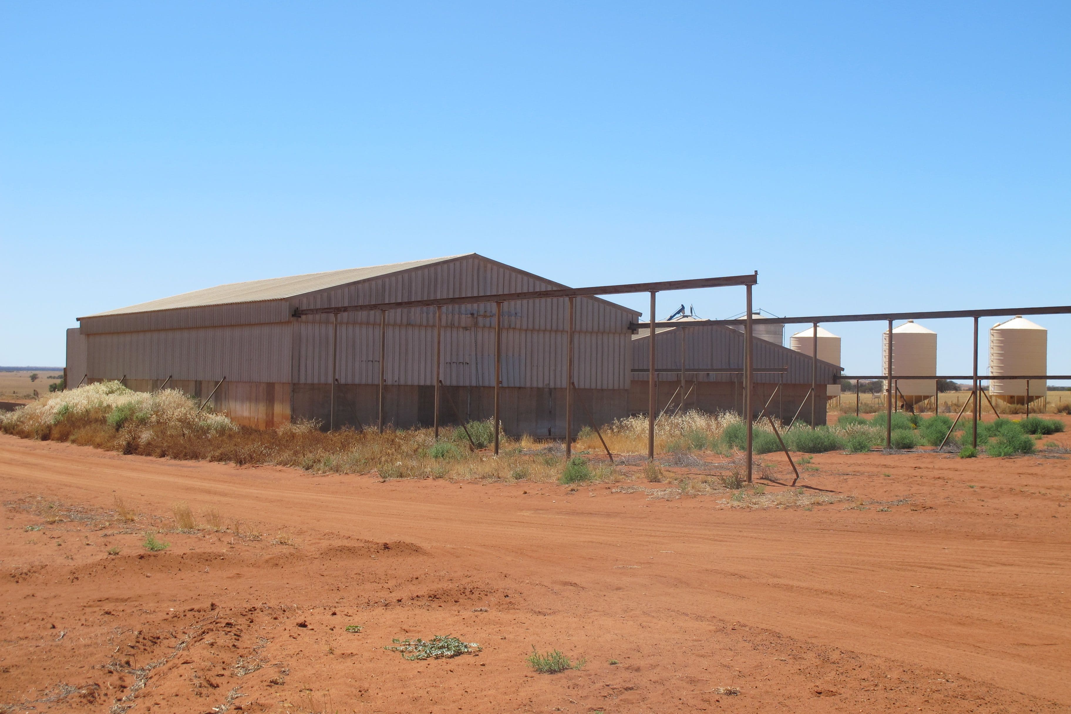Daisy Downs, 1730 Nuberro Road, Mullewa WA 6630, Mullewa - Thumbnail 8