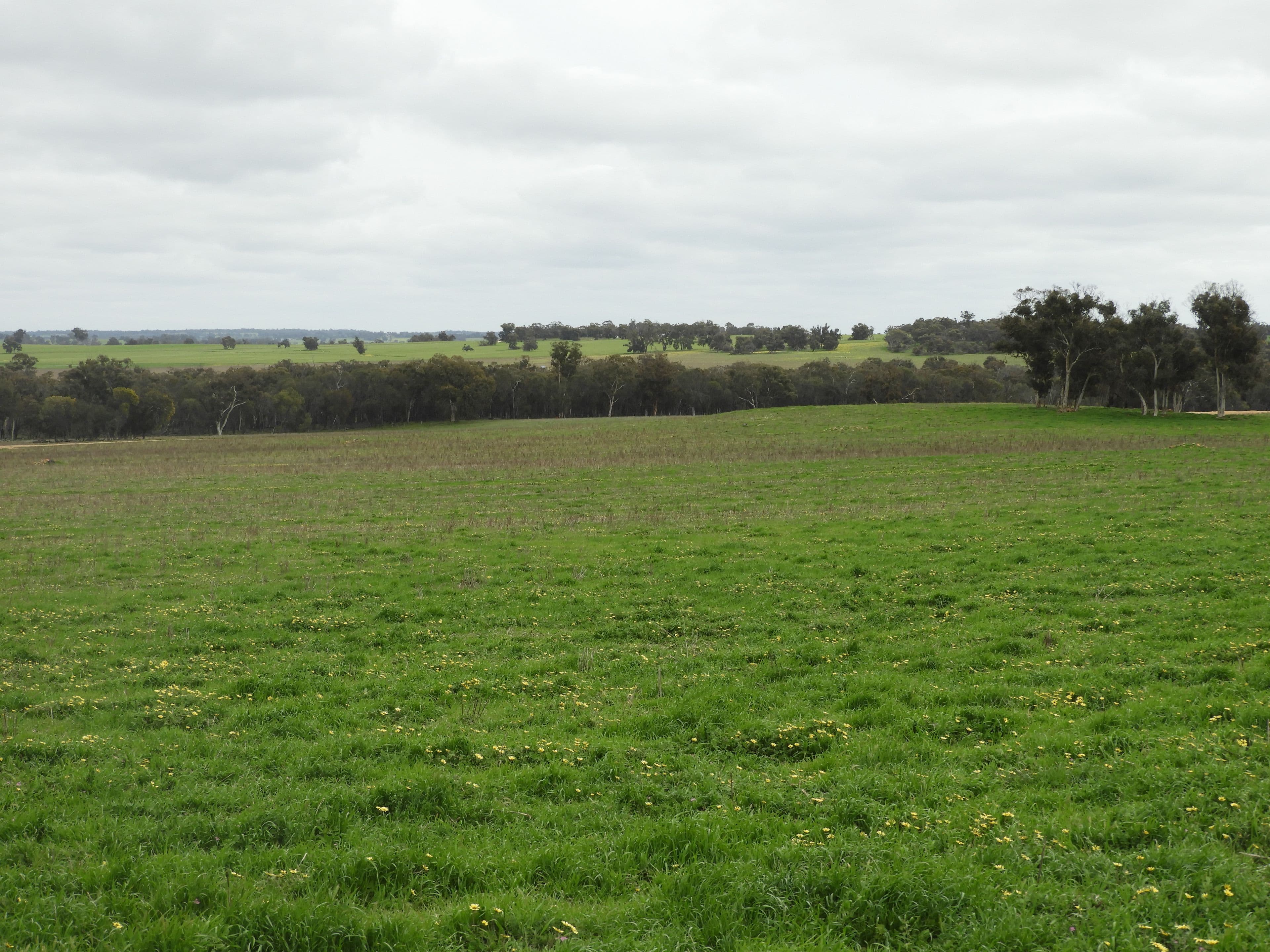 24 George Weily Place, Orange, Orange - Thumbnail 7