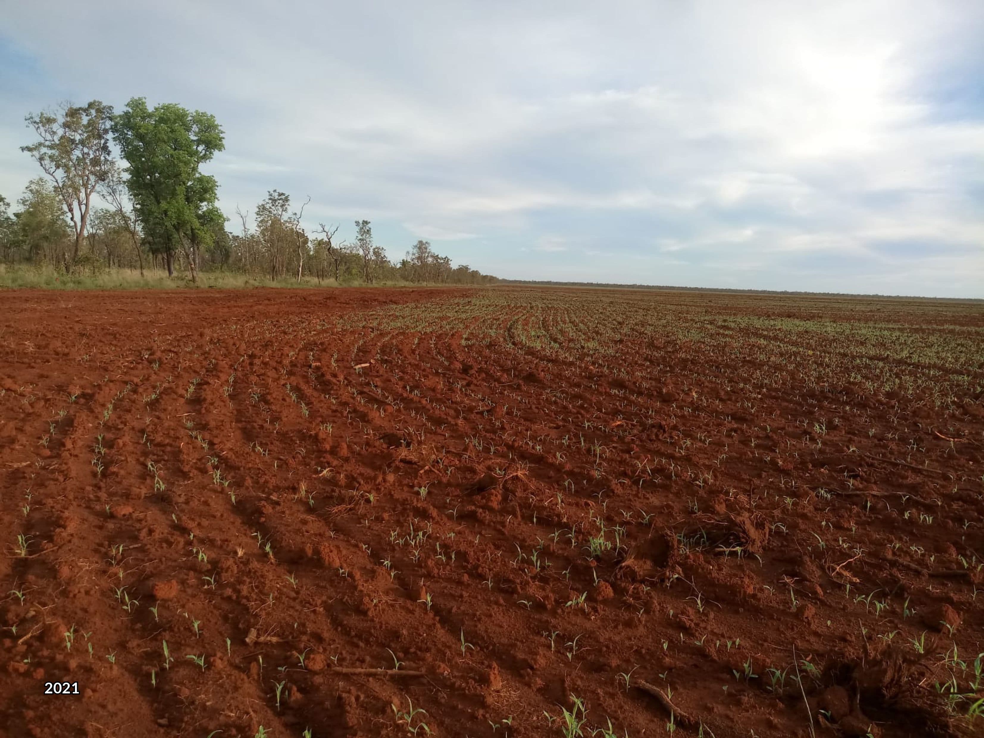 Katherine NT 0850, Katherine - Thumbnail 2