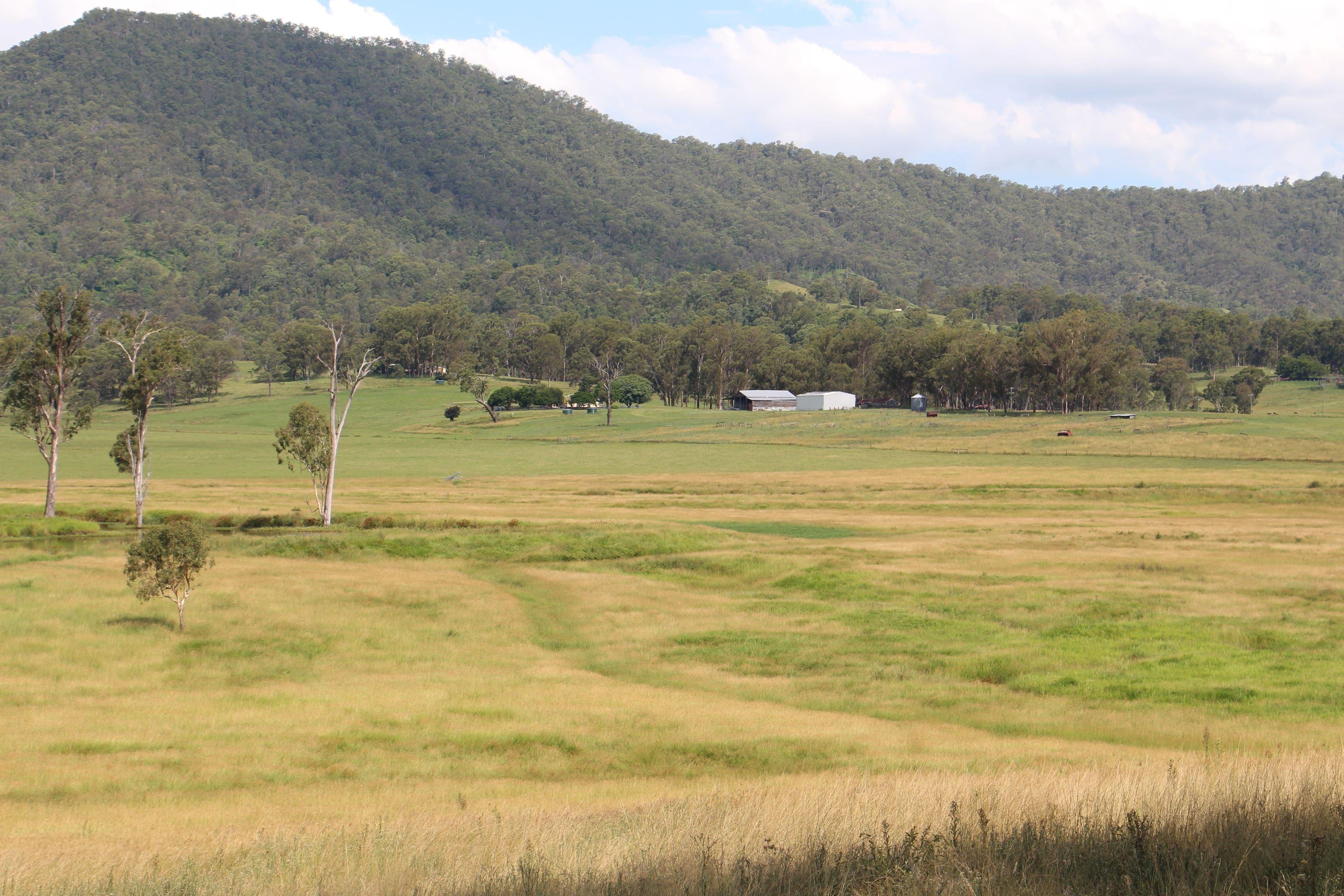 411 Lambert Road, Nindooinbah QLD 4285, Nindooinbah - Thumbnail 3