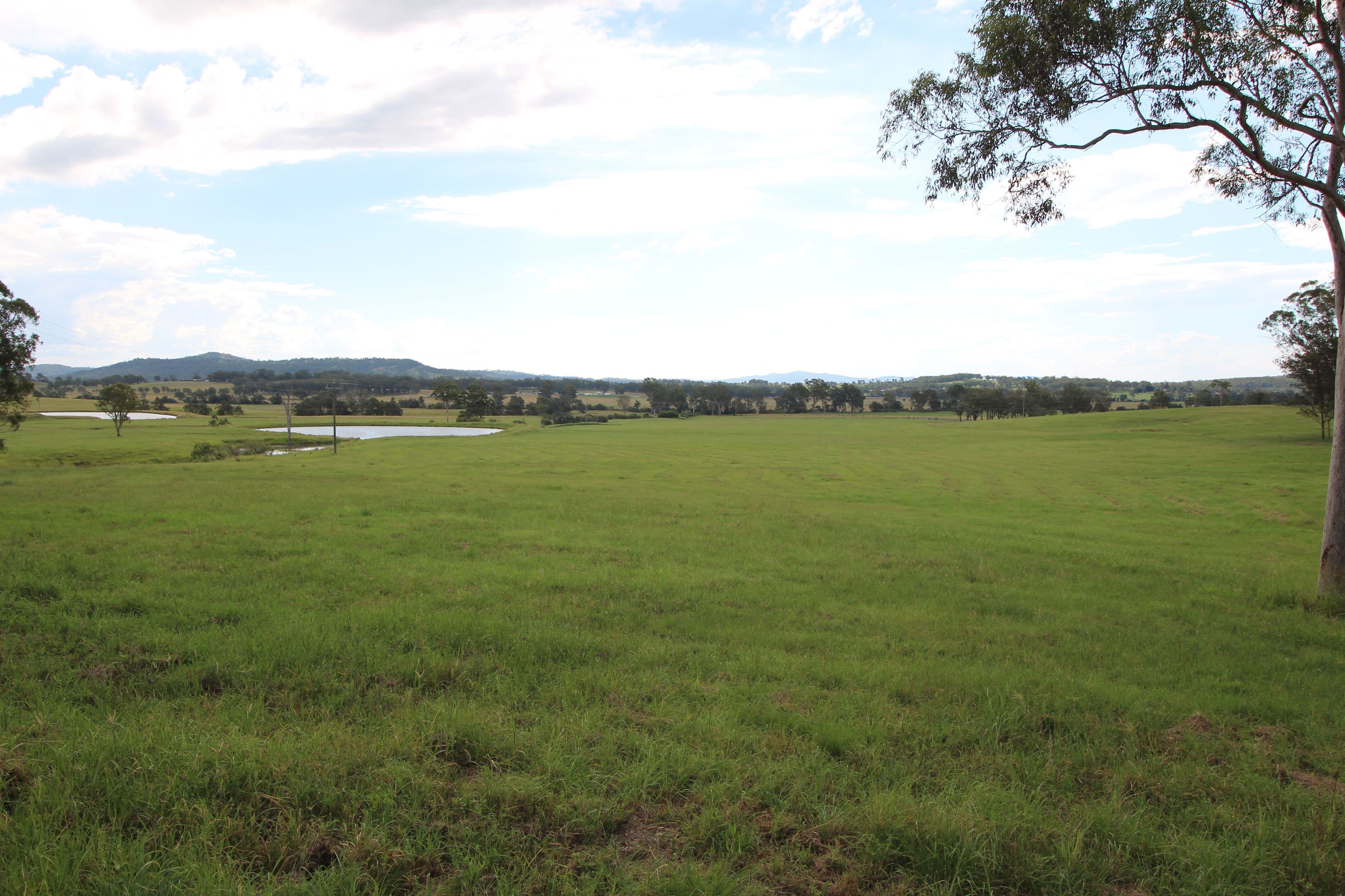 411 Lambert Road, Nindooinbah QLD 4285, Nindooinbah - Thumbnail 4
