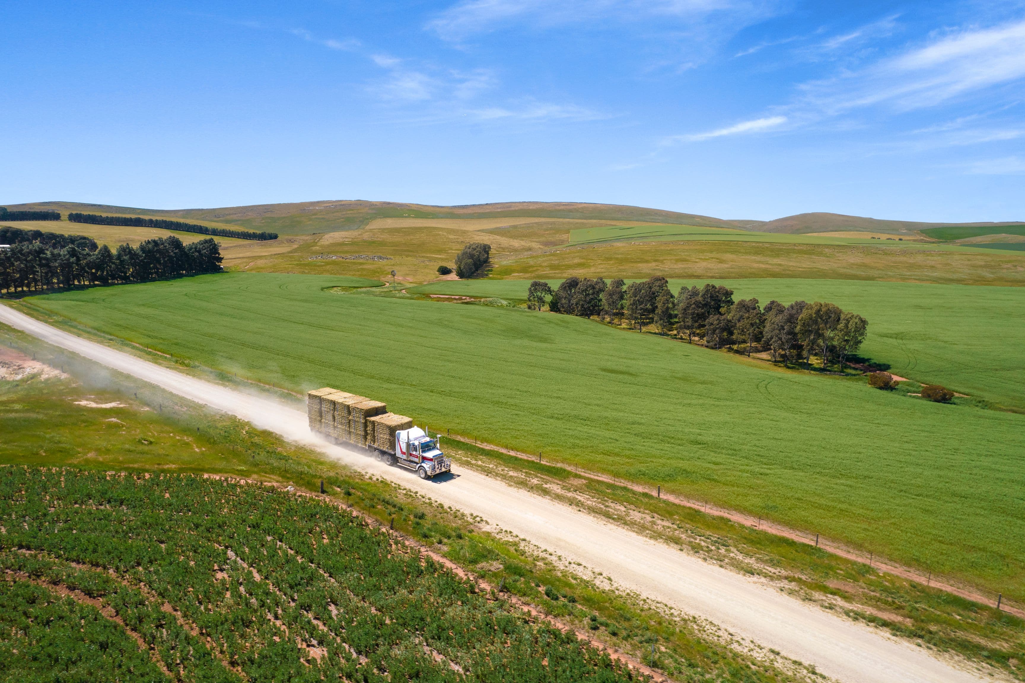'Hill View' - 468 Sheep Dip Road, Hill River SA 5453, Hill River - Thumbnail 4