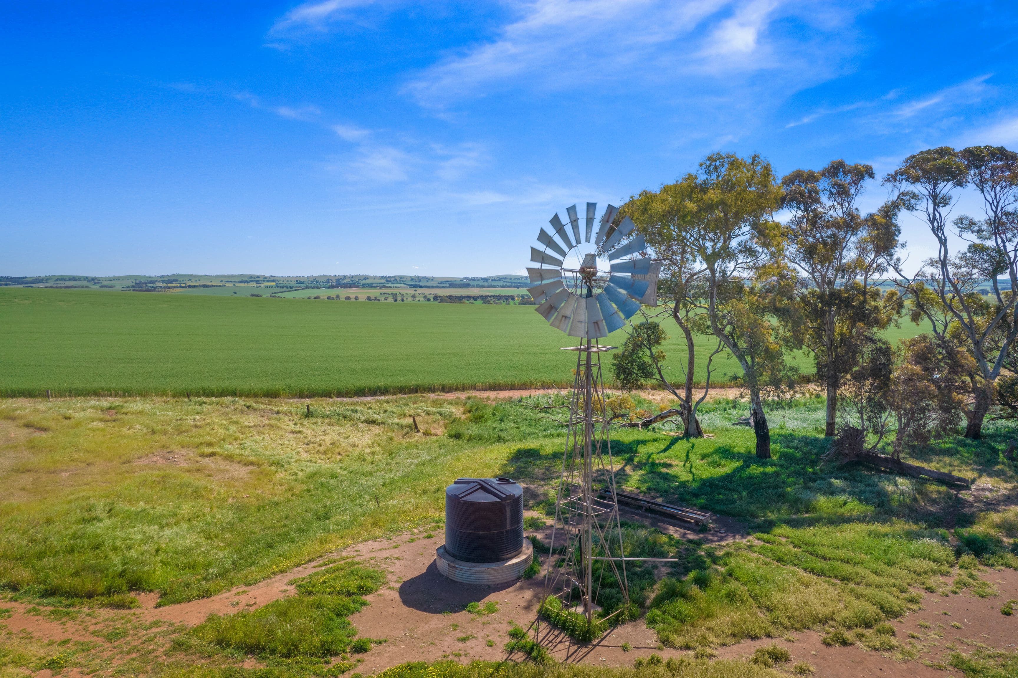 'Hill View' - 468 Sheep Dip Road, Hill River SA 5453, Hill River - Thumbnail 7