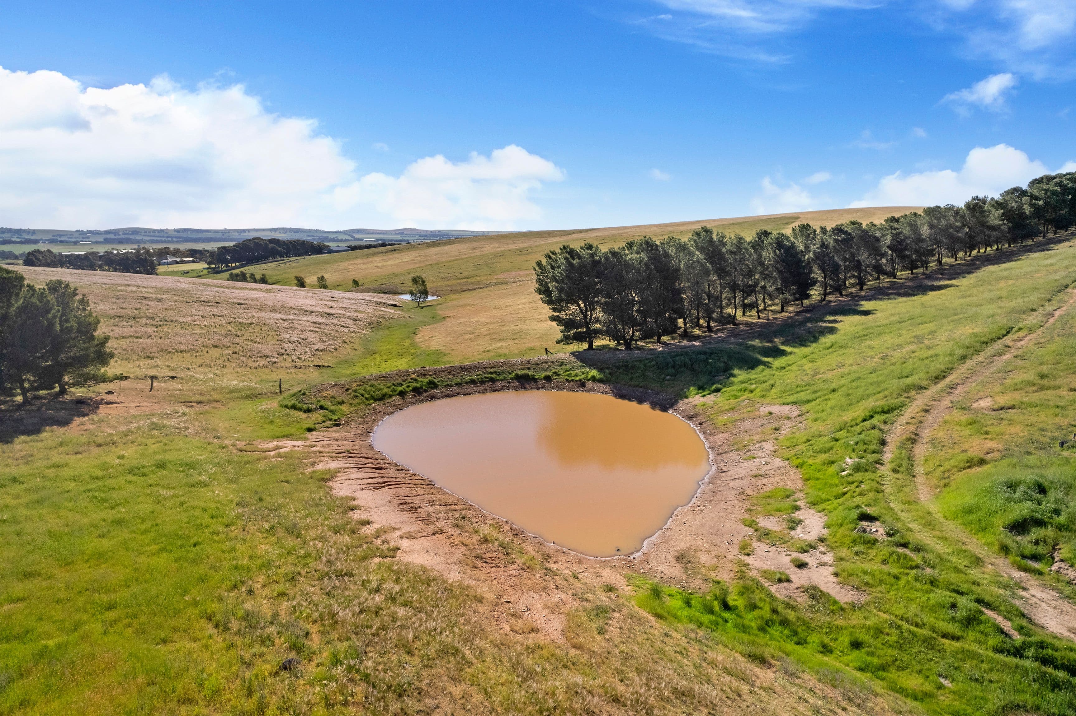 'Hill View' - 468 Sheep Dip Road, Hill River SA 5453, Hill River - Thumbnail 8