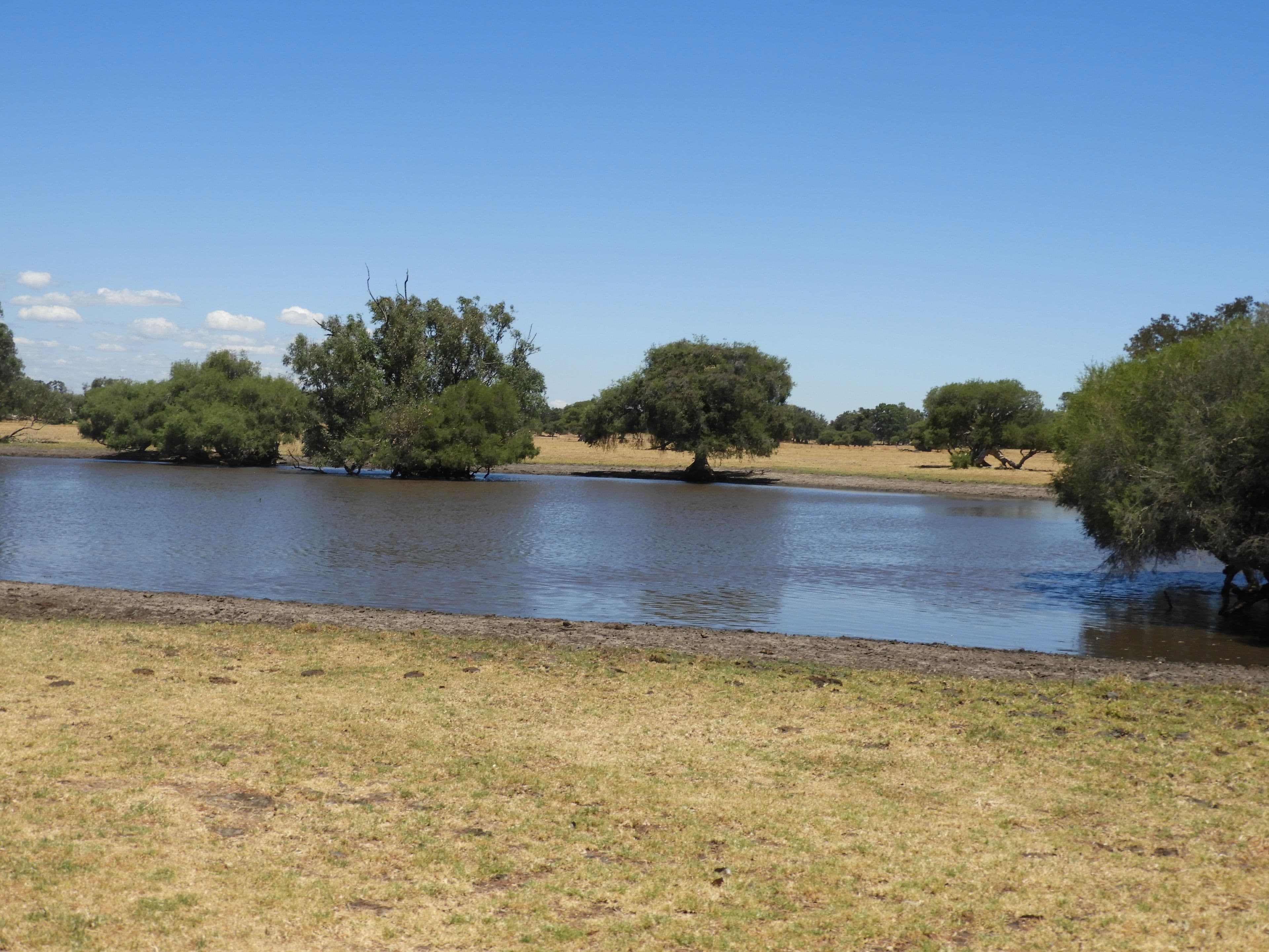 120 Duck Pond Road, Oldbury WA 6121, Oldbury - Thumbnail 6