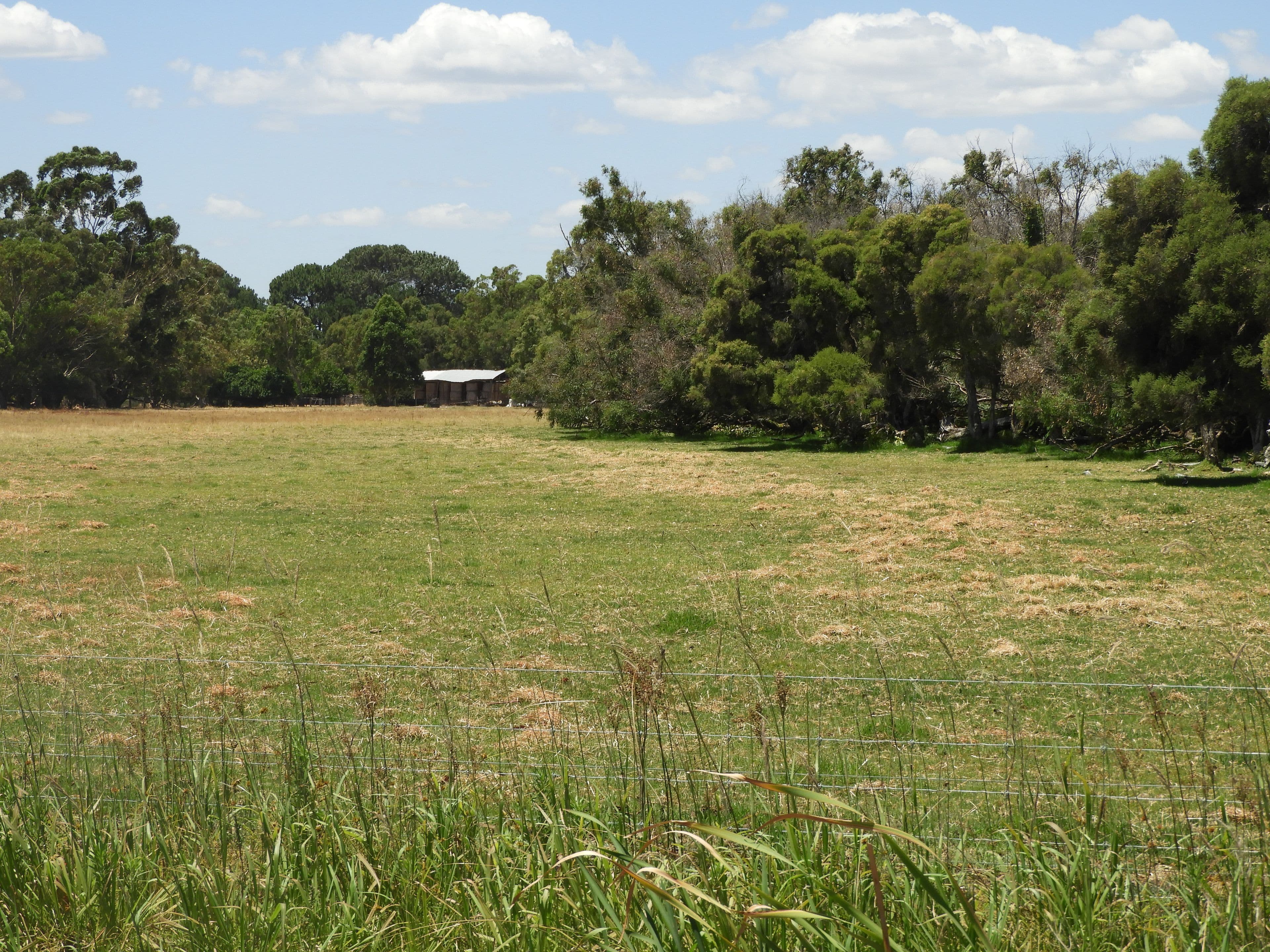 120 Duck Pond Road, Oldbury WA 6121, Oldbury - Thumbnail 7