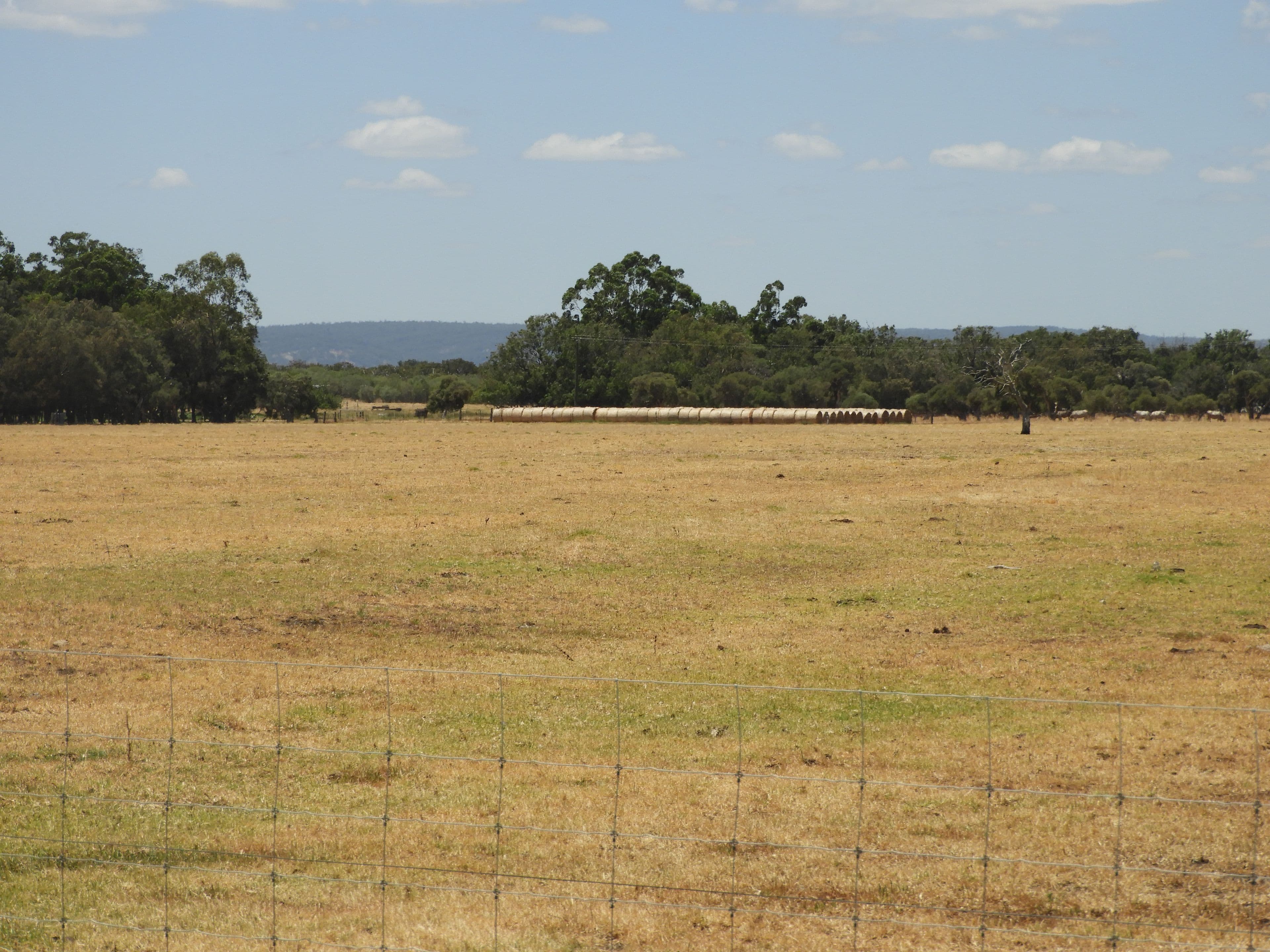 120 Duck Pond Road, Oldbury WA 6121, Oldbury - Thumbnail 8